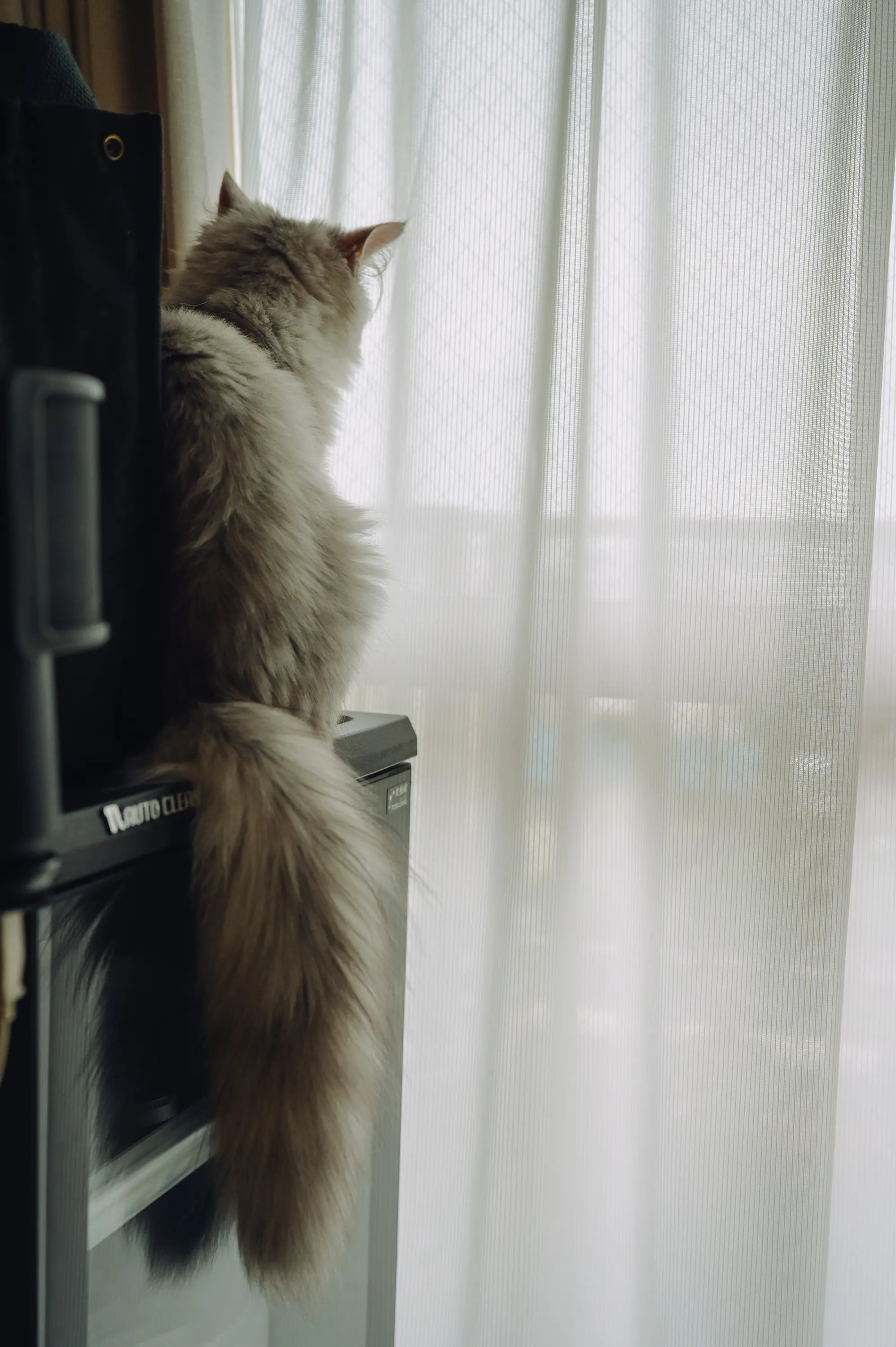 2021 — 05 — 24に撮影したうみの写真