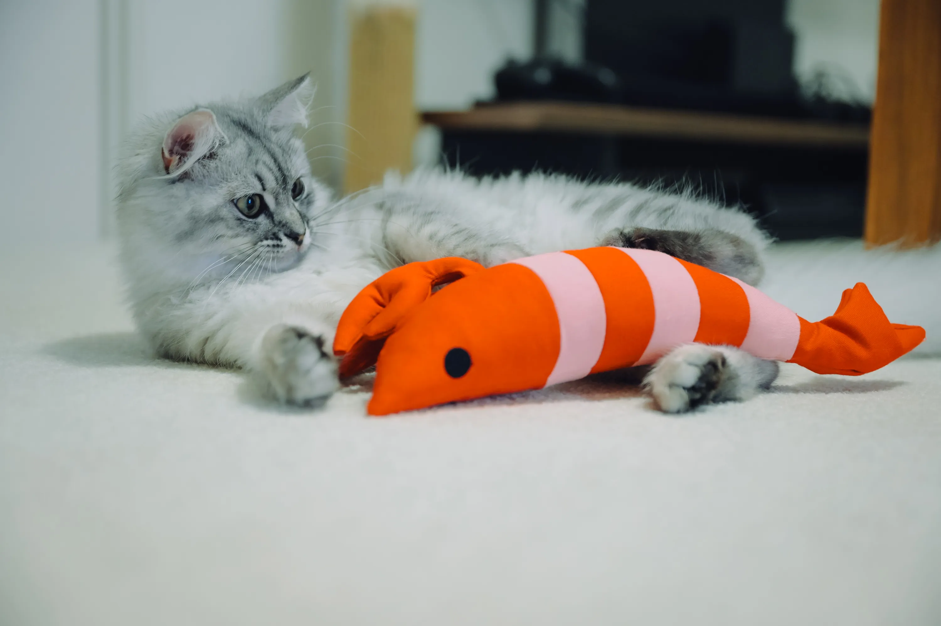 2021 — 05 — 24に撮影したうみの写真