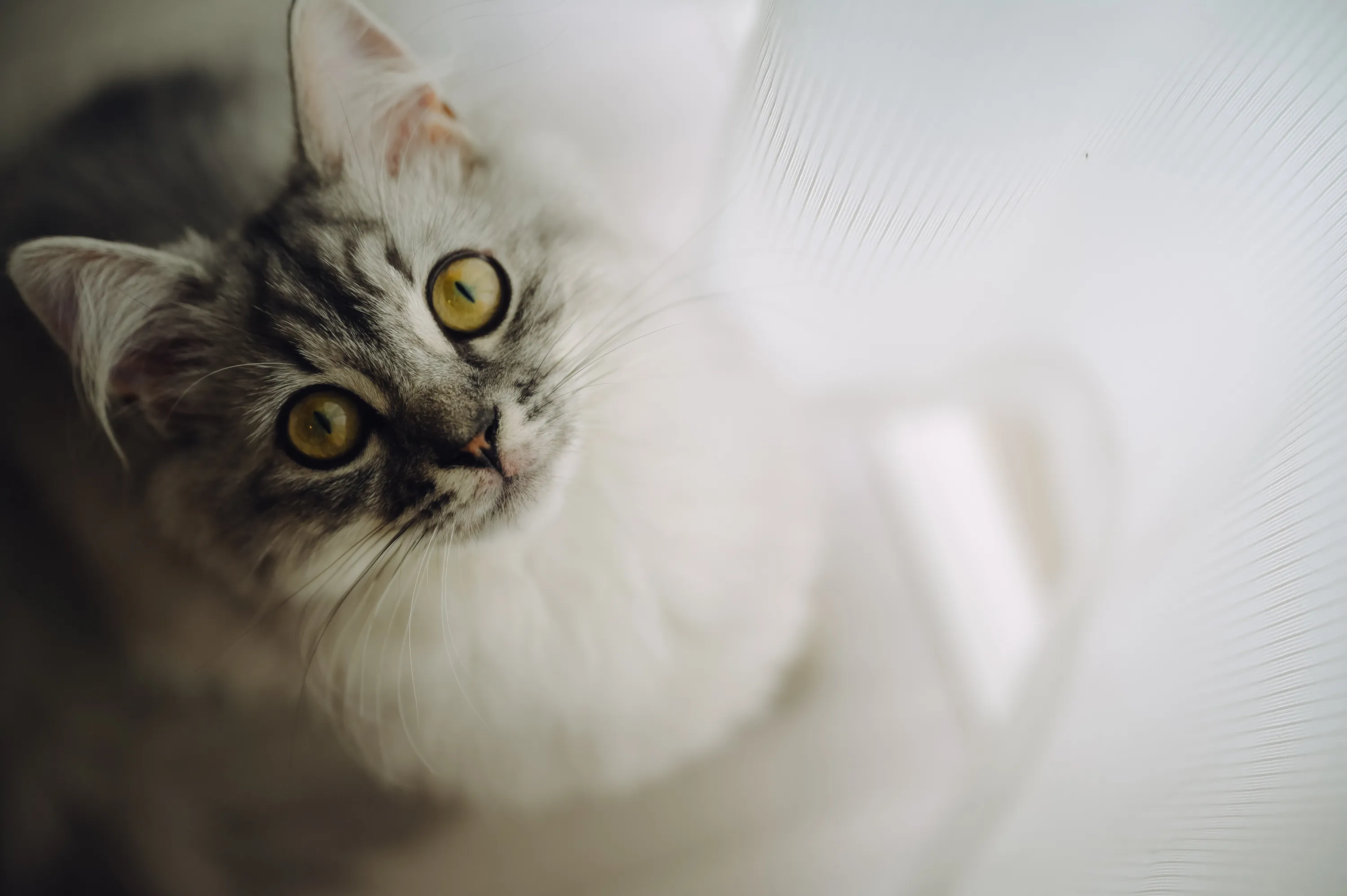 2021 — 05 — 26に撮影したうみの写真