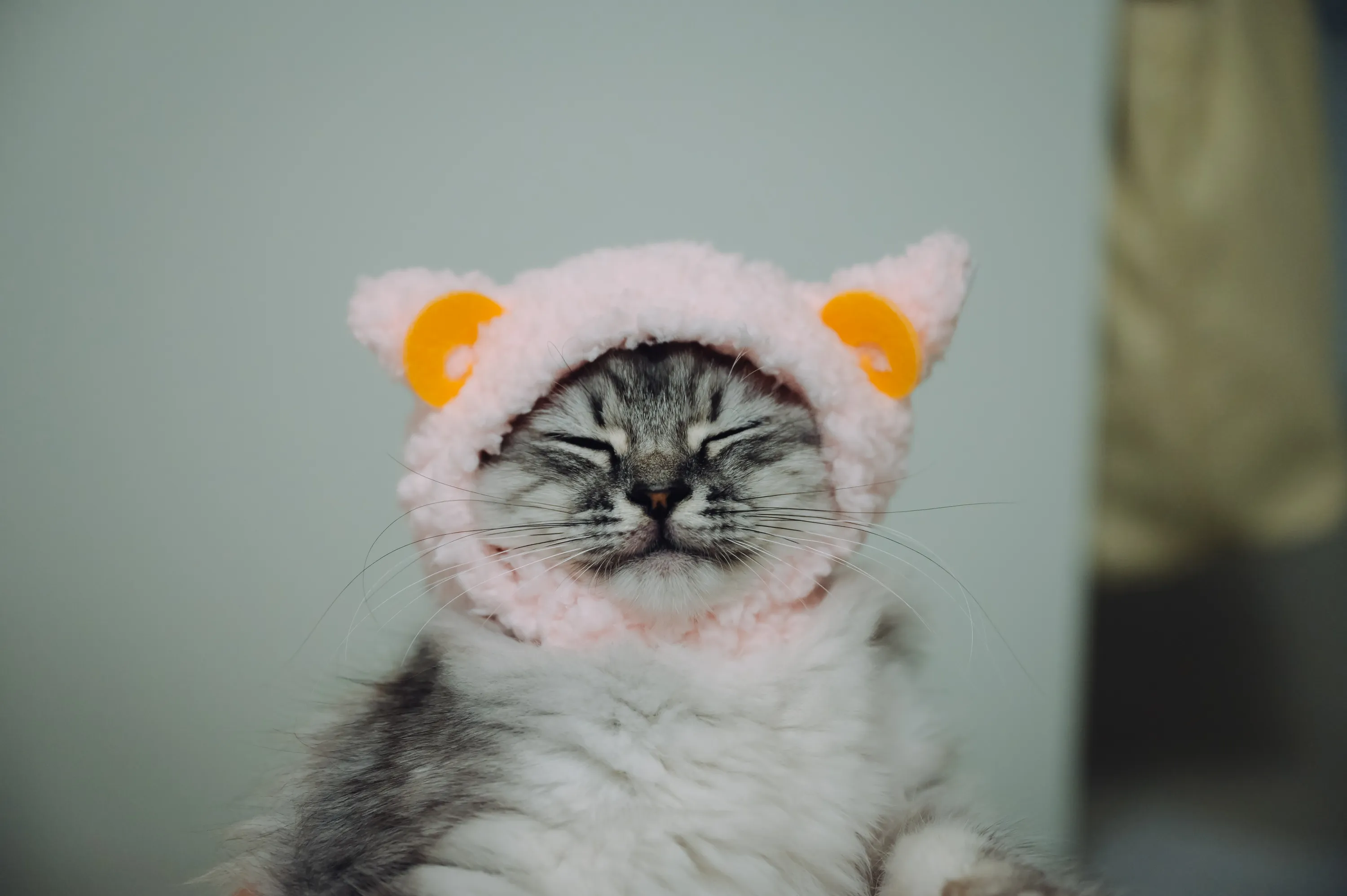 2021 — 06 — 03に撮影したうみの写真