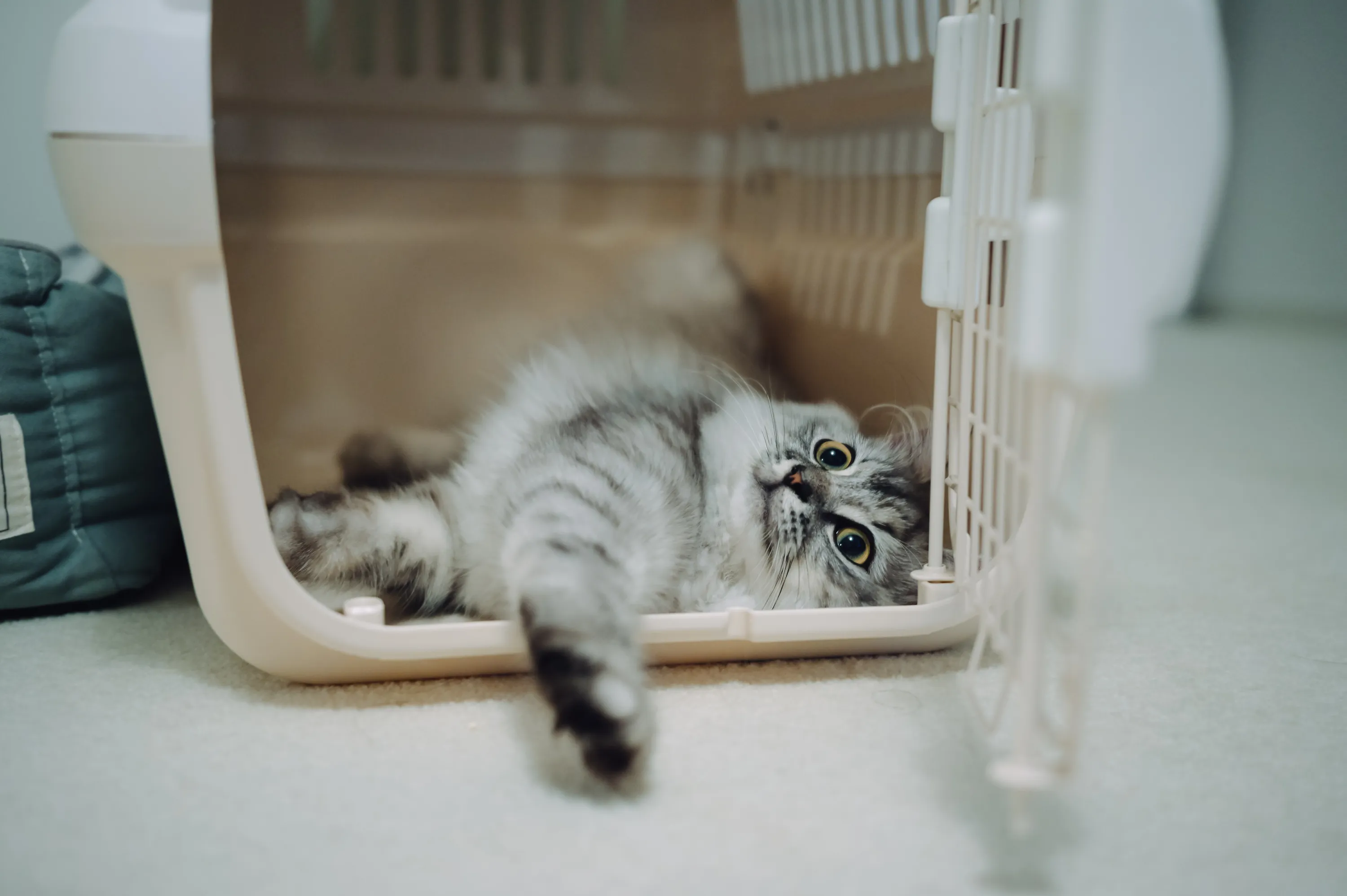 2021 — 06 — 16に撮影したうみの写真