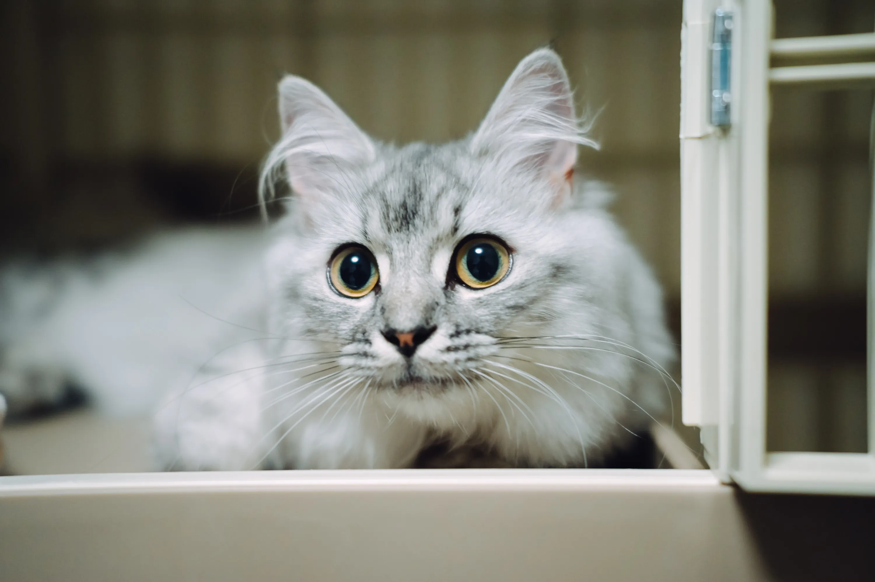 2021 — 06 — 21に撮影したうみの写真