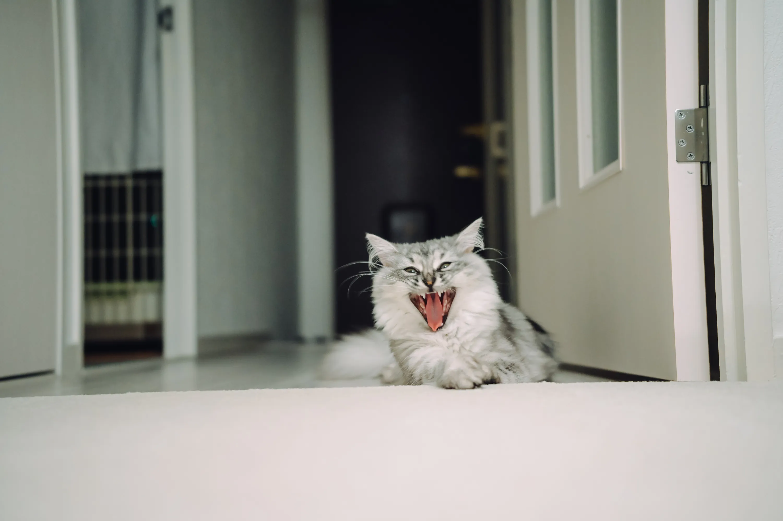 2021 — 06 — 23に撮影したうみの写真