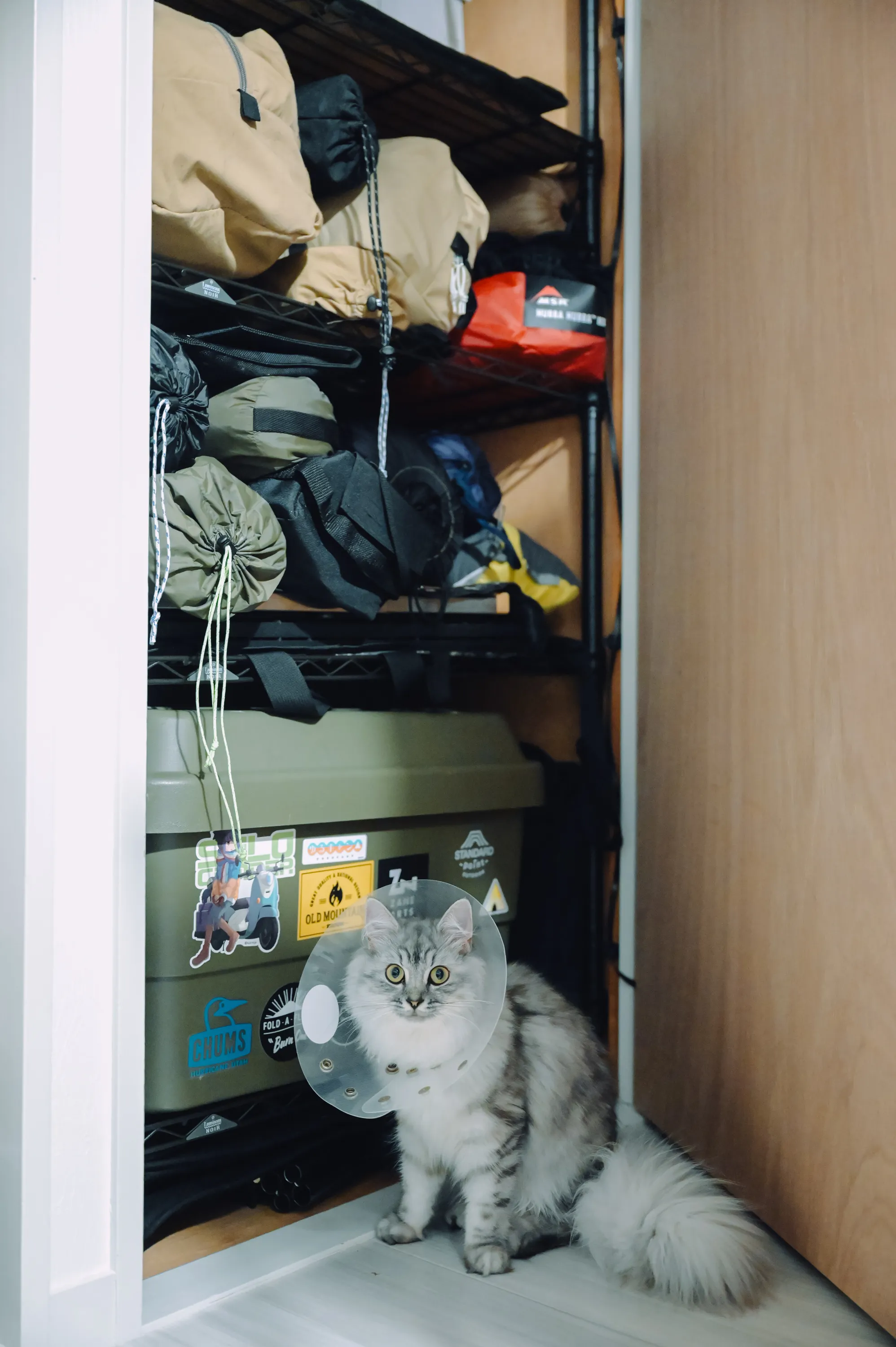 2021 — 07 — 28に撮影したうみの写真