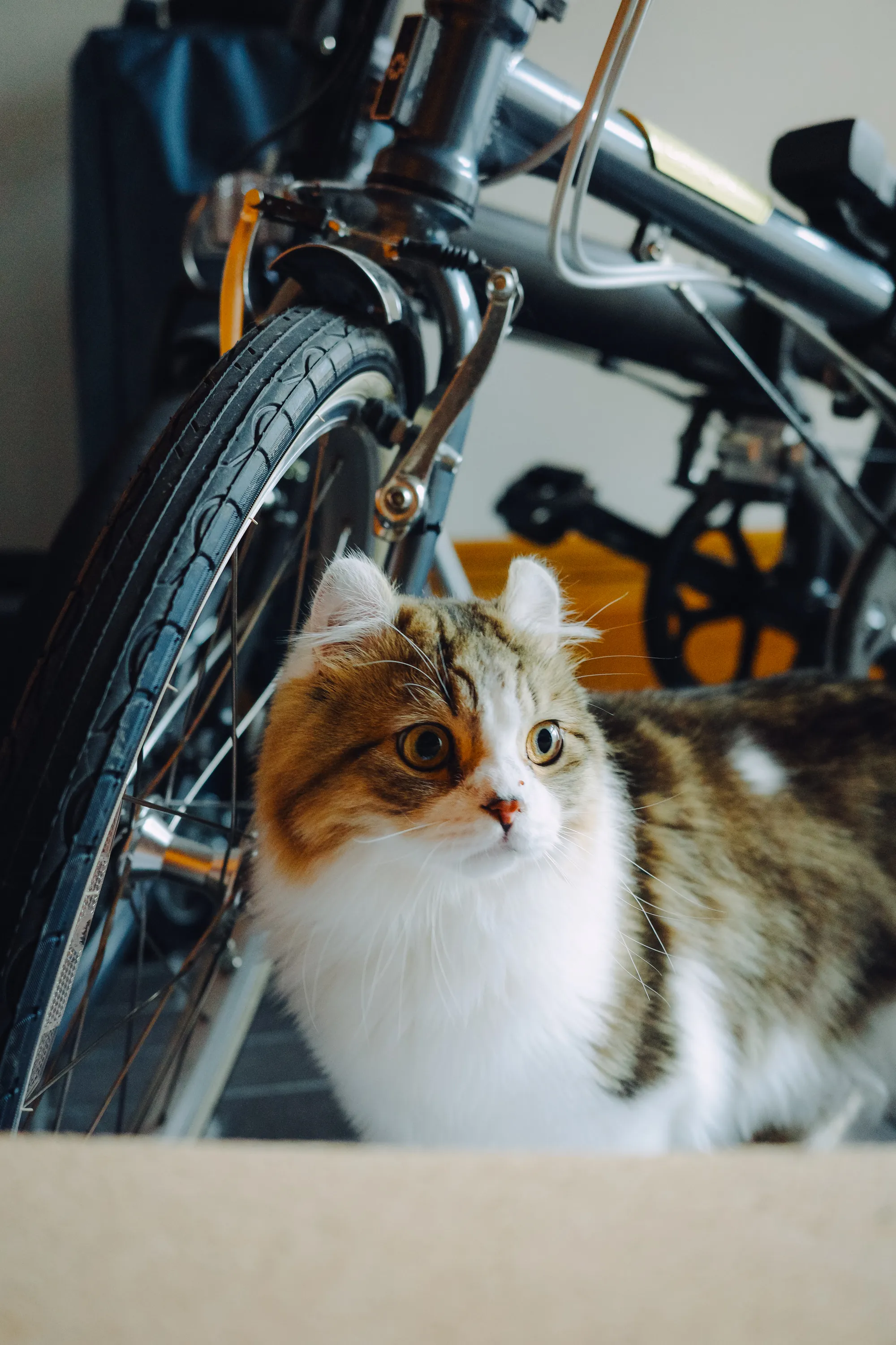 2022 — 09 — 19に撮影したうみとあおの写真