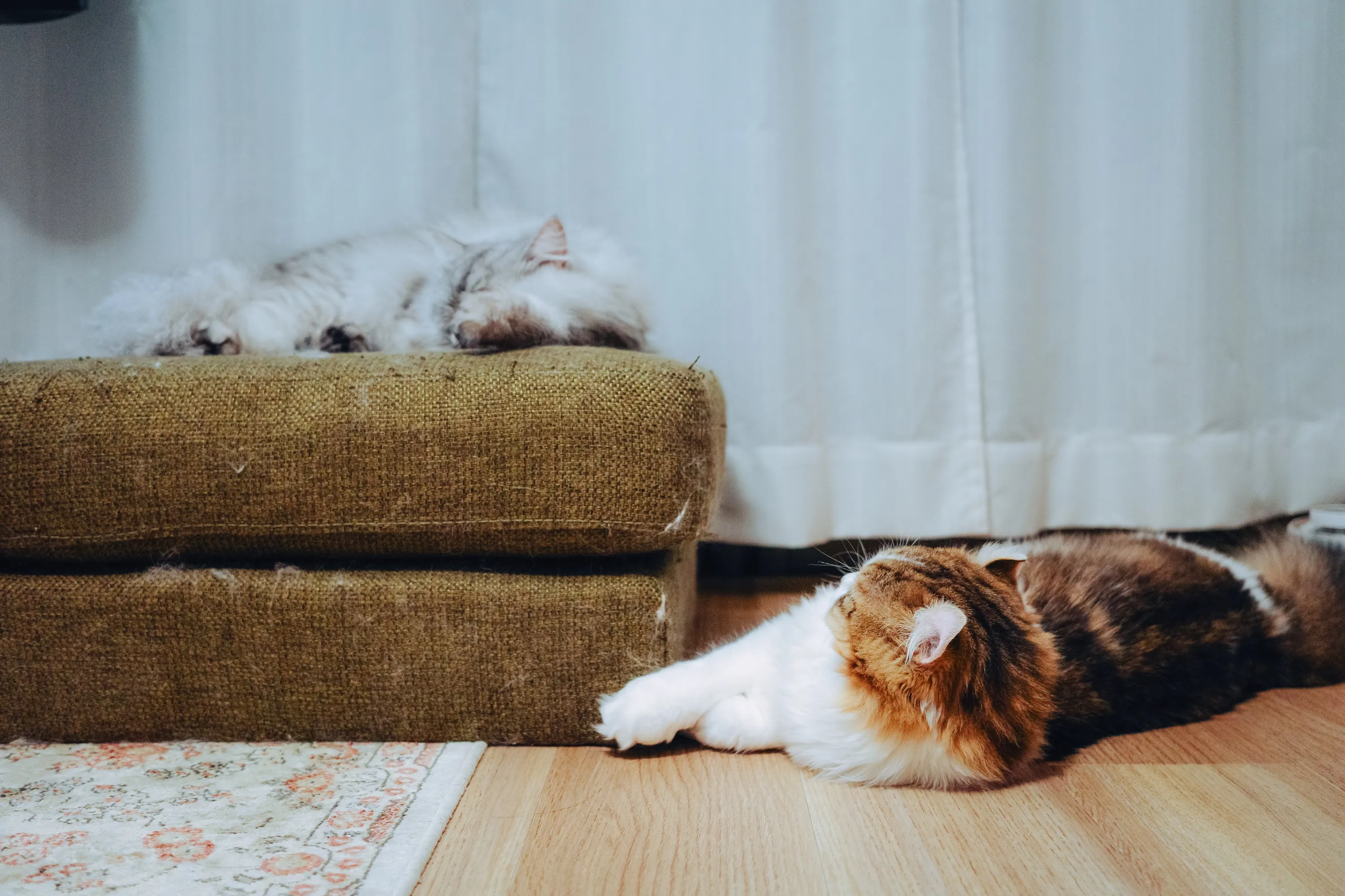 2022 — 10 — 03に撮影したうみとあおの写真