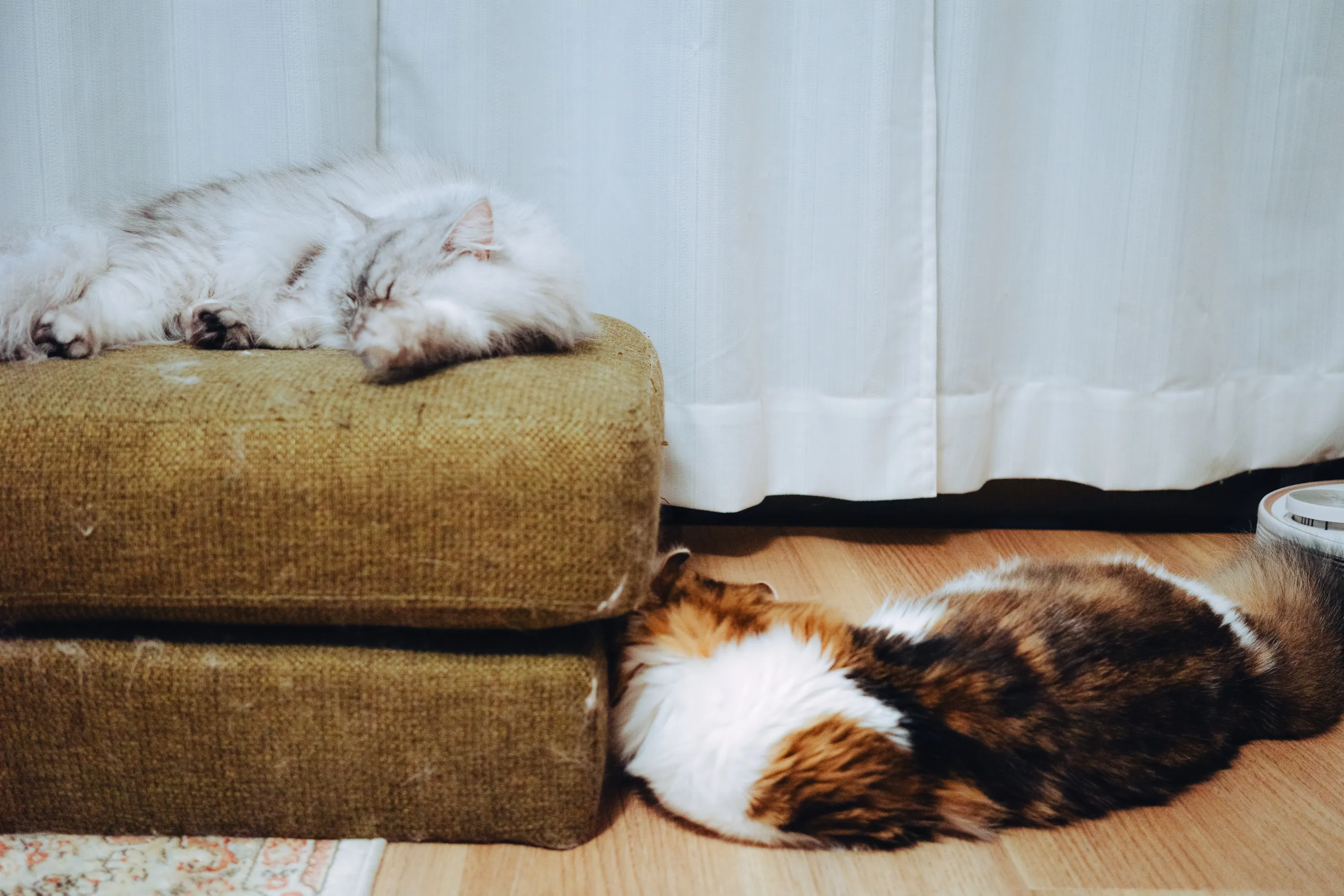 2022 — 10 — 03に撮影したうみとあおの写真