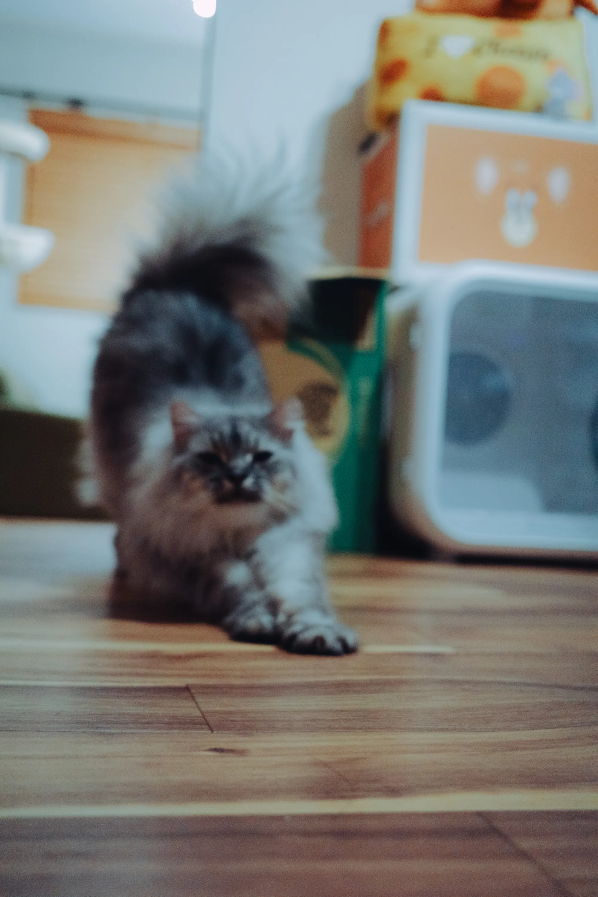 2022 — 10 — 03に撮影したうみとあおの写真