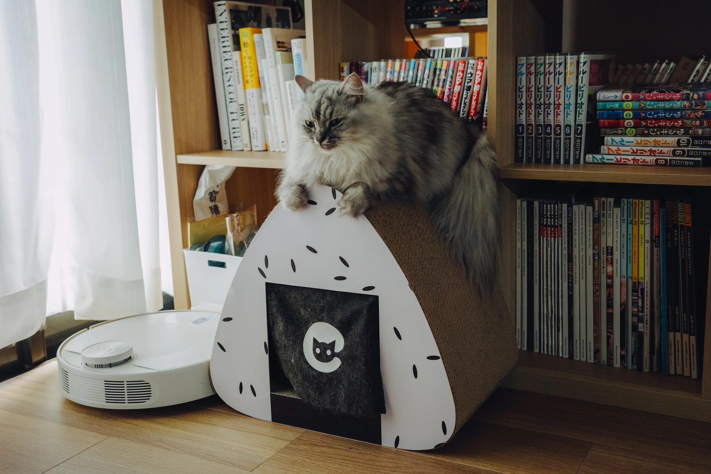 2022 — 10 — 04に撮影したうみの写真