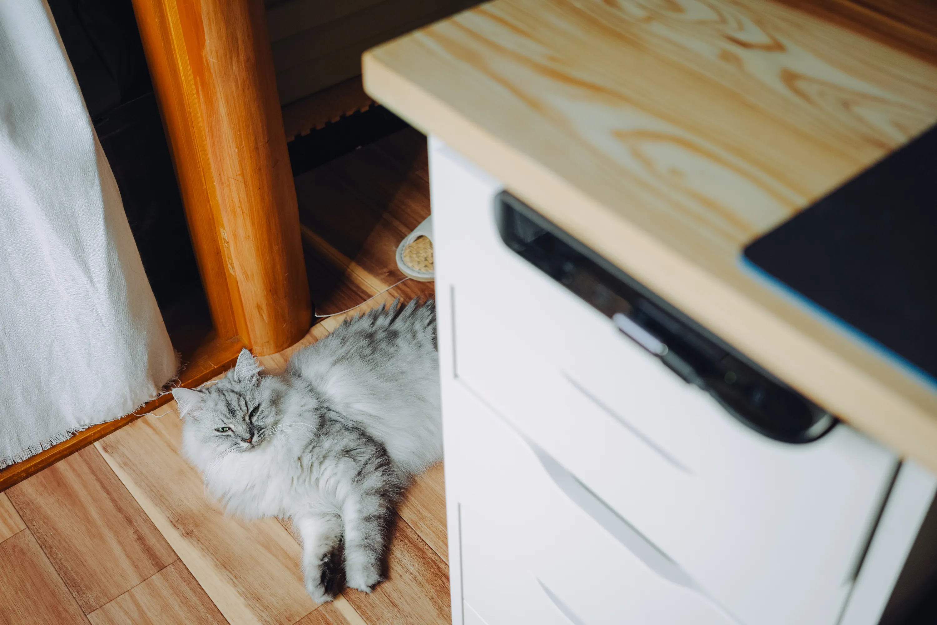 2022 — 10 — 05に撮影したうみの写真