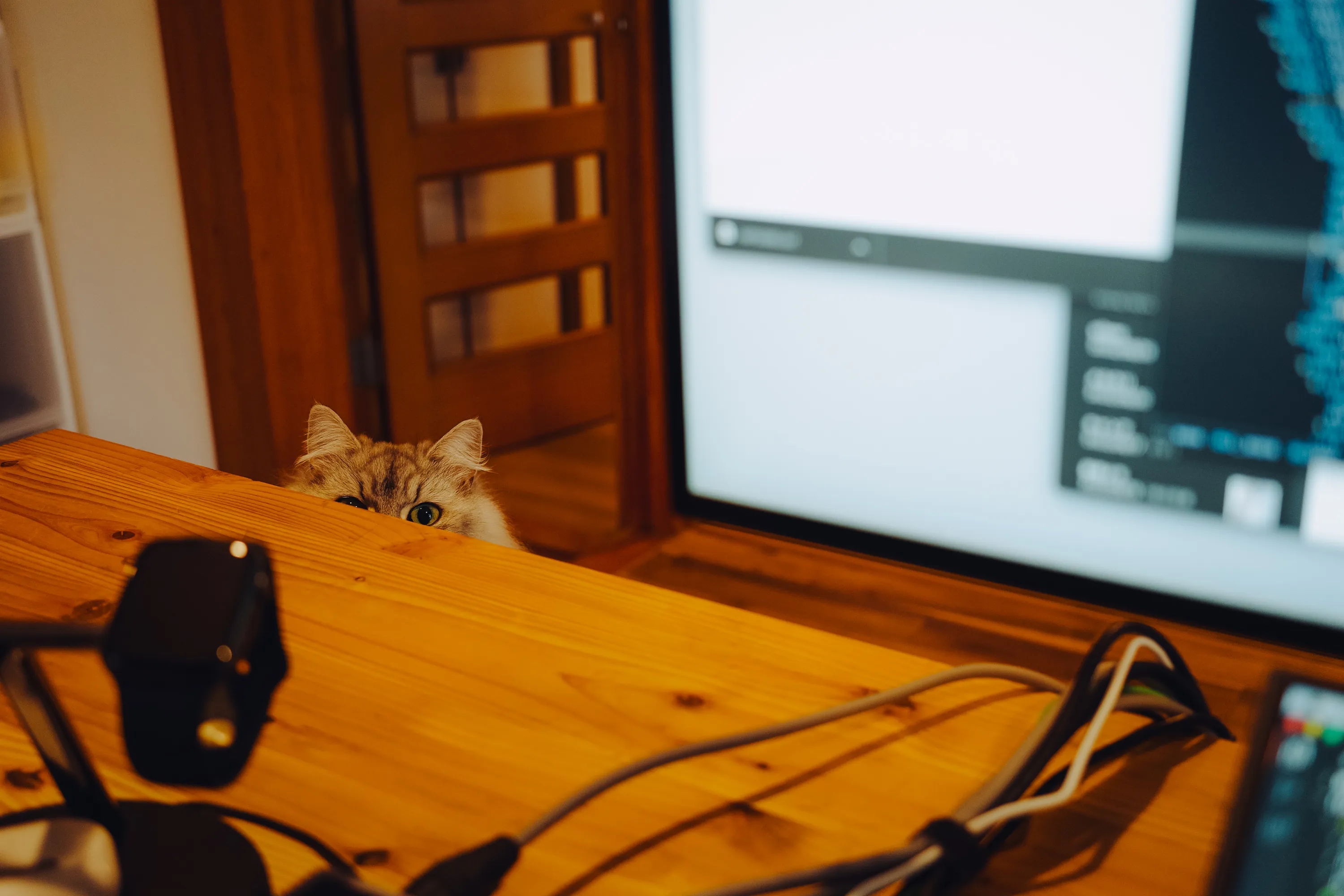 2022 — 10 — 25に撮影したうみとあおの写真