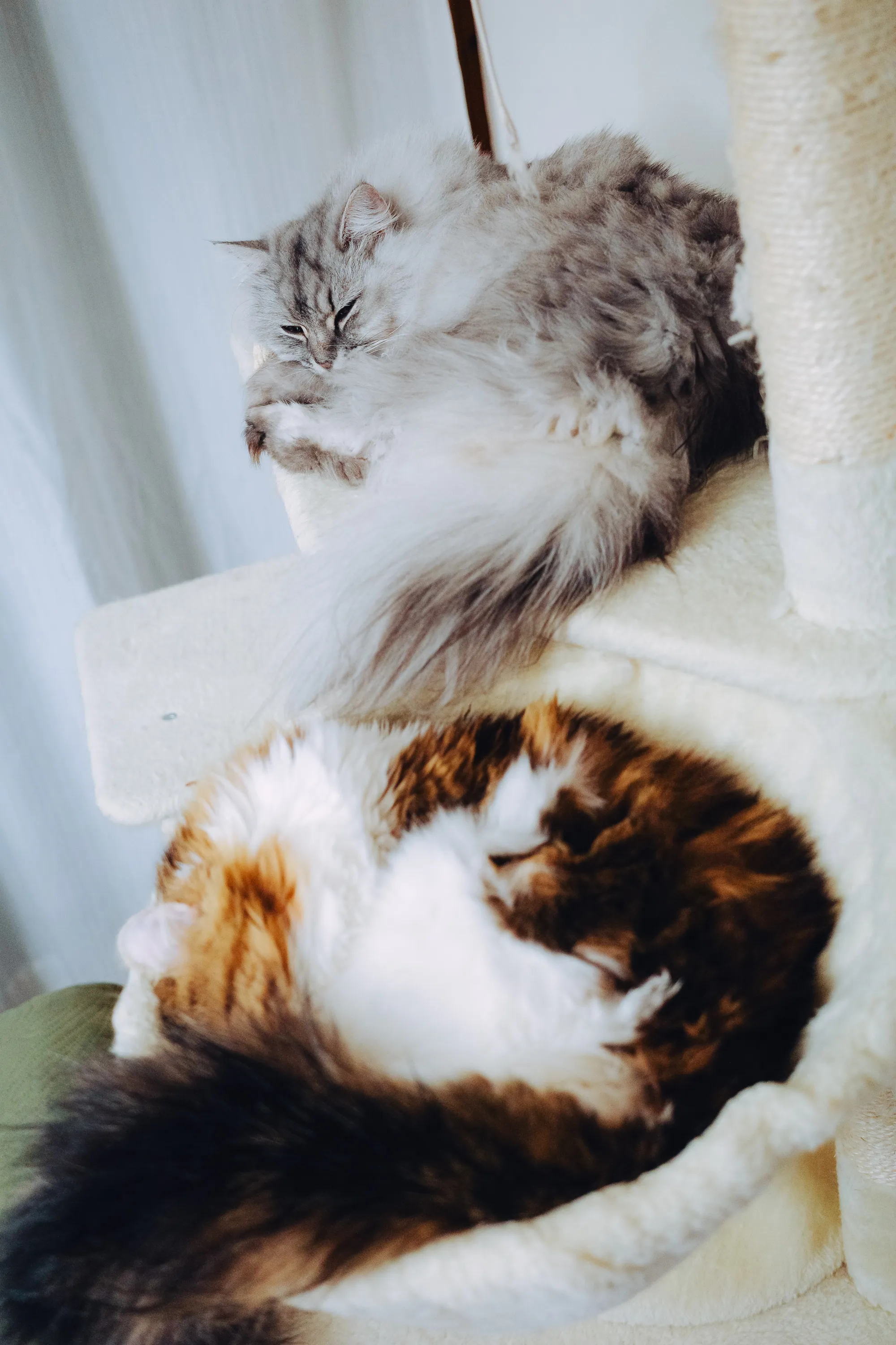 2022 — 12 — 20に撮影したうみとあおの写真
