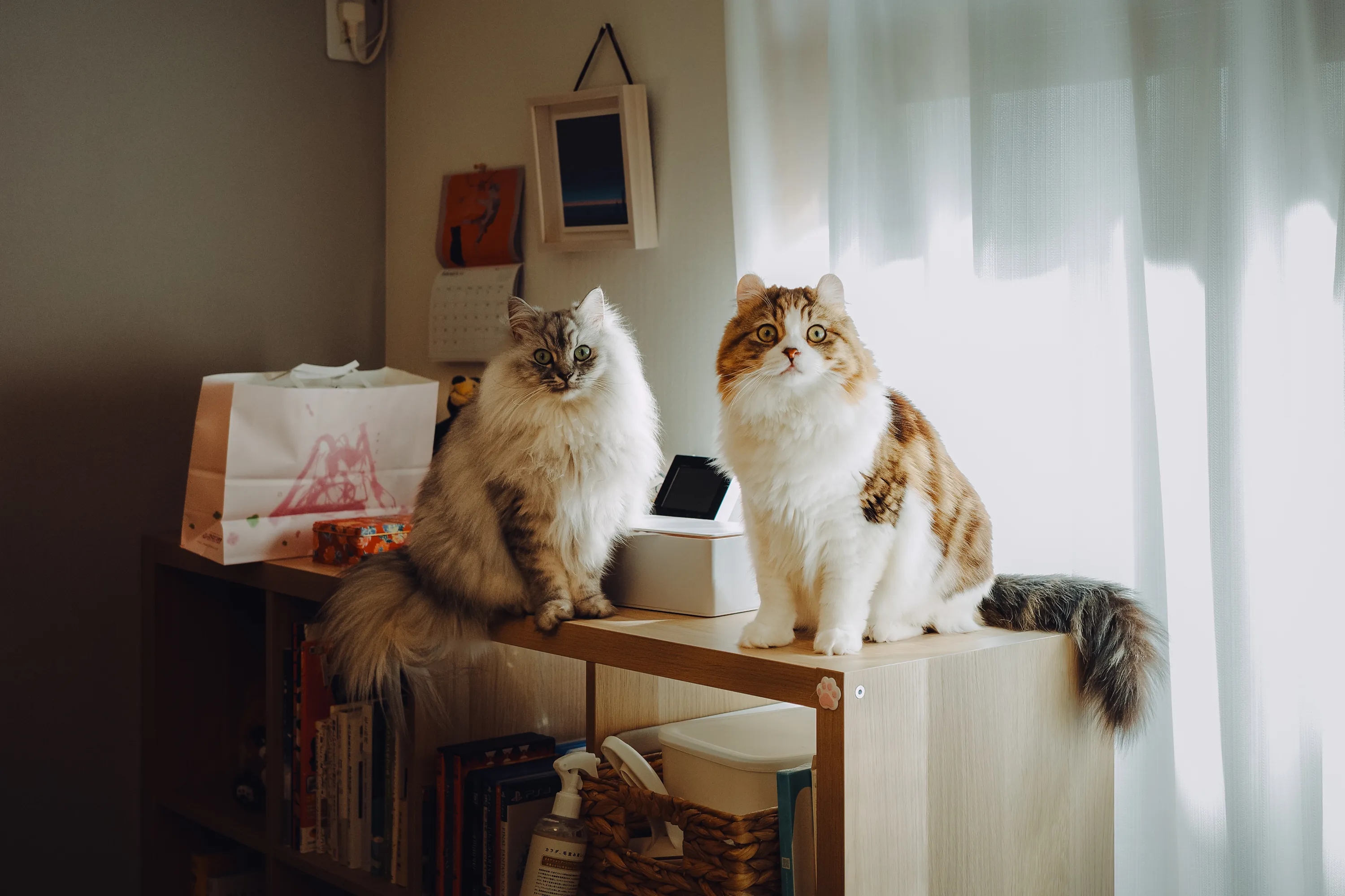 2023 — 02 — 25に撮影したうみとあおの写真
