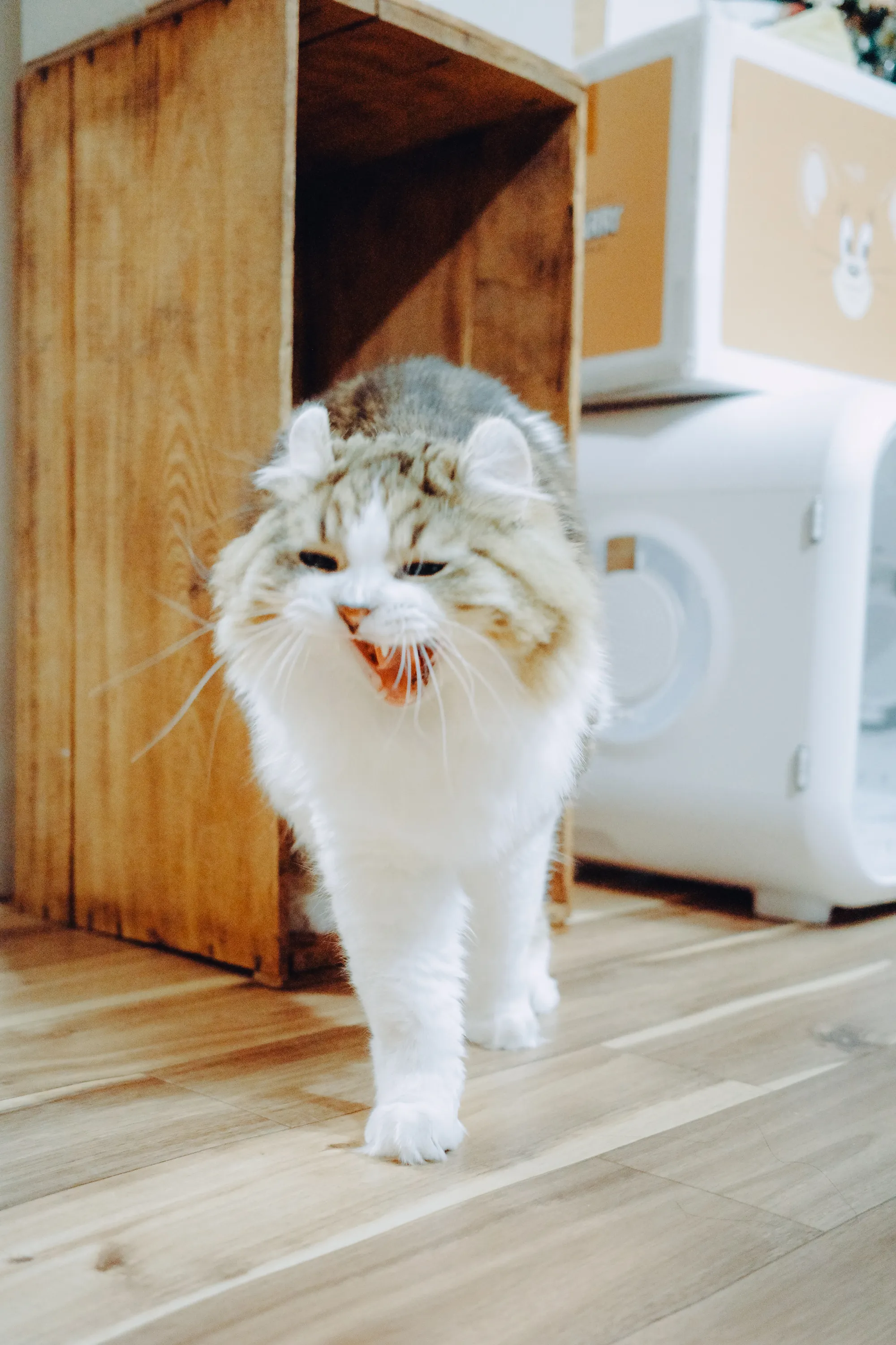 2023 — 02 — 28に撮影したうみとあおの写真