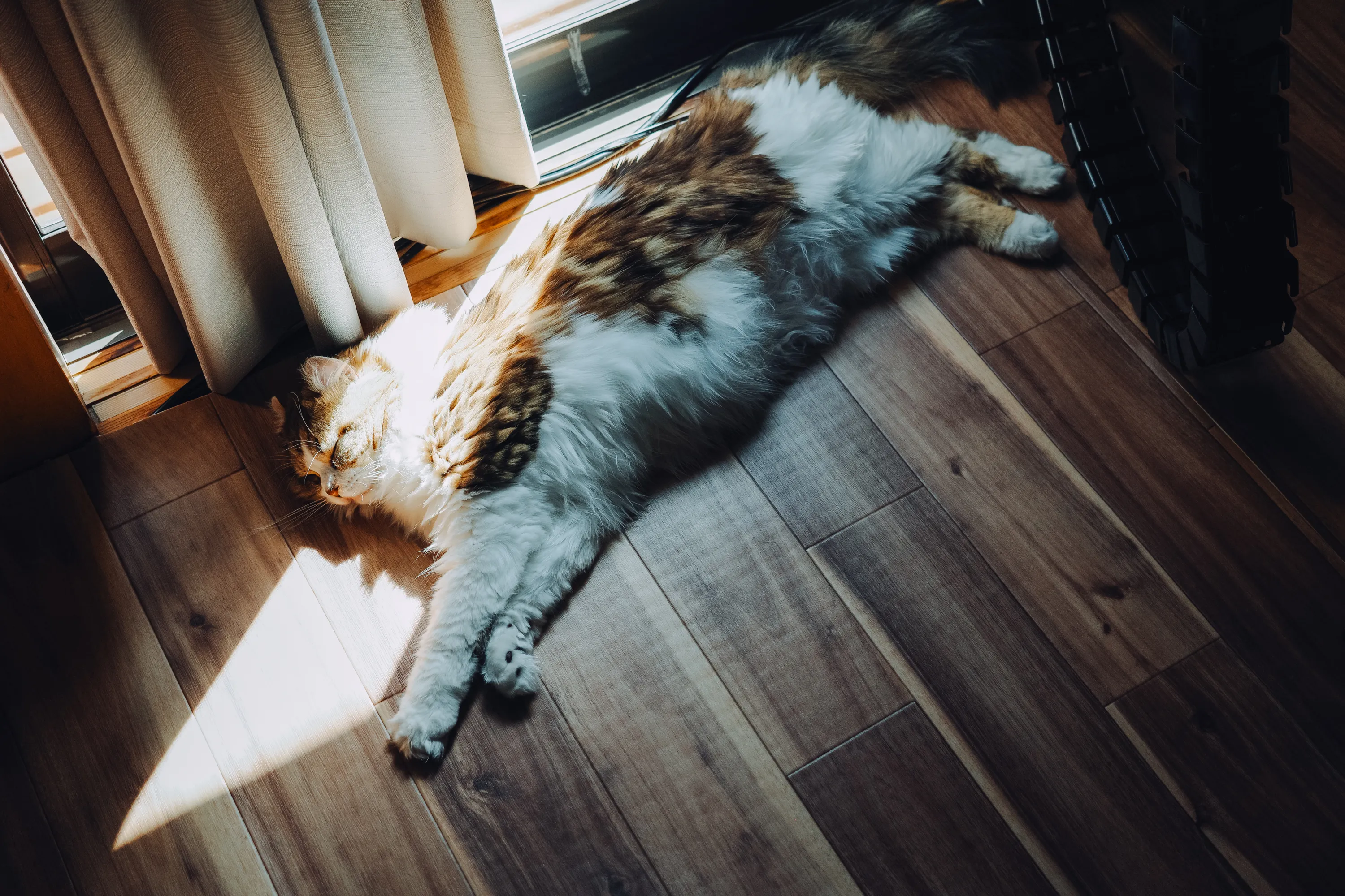 2023 — 04 — 01に撮影したうみとあおの写真