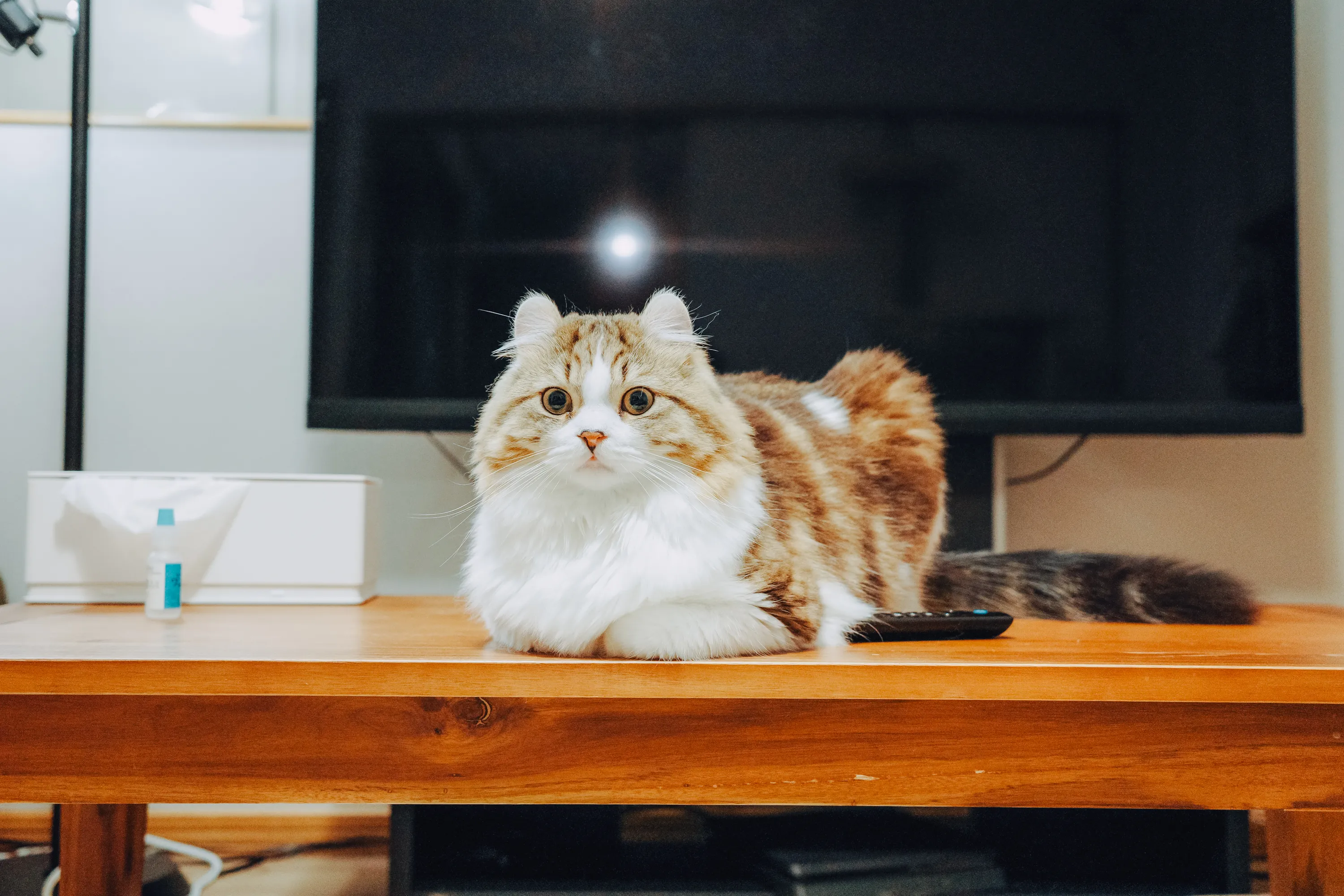 2023 — 04 — 08に撮影したうみとあおの写真
