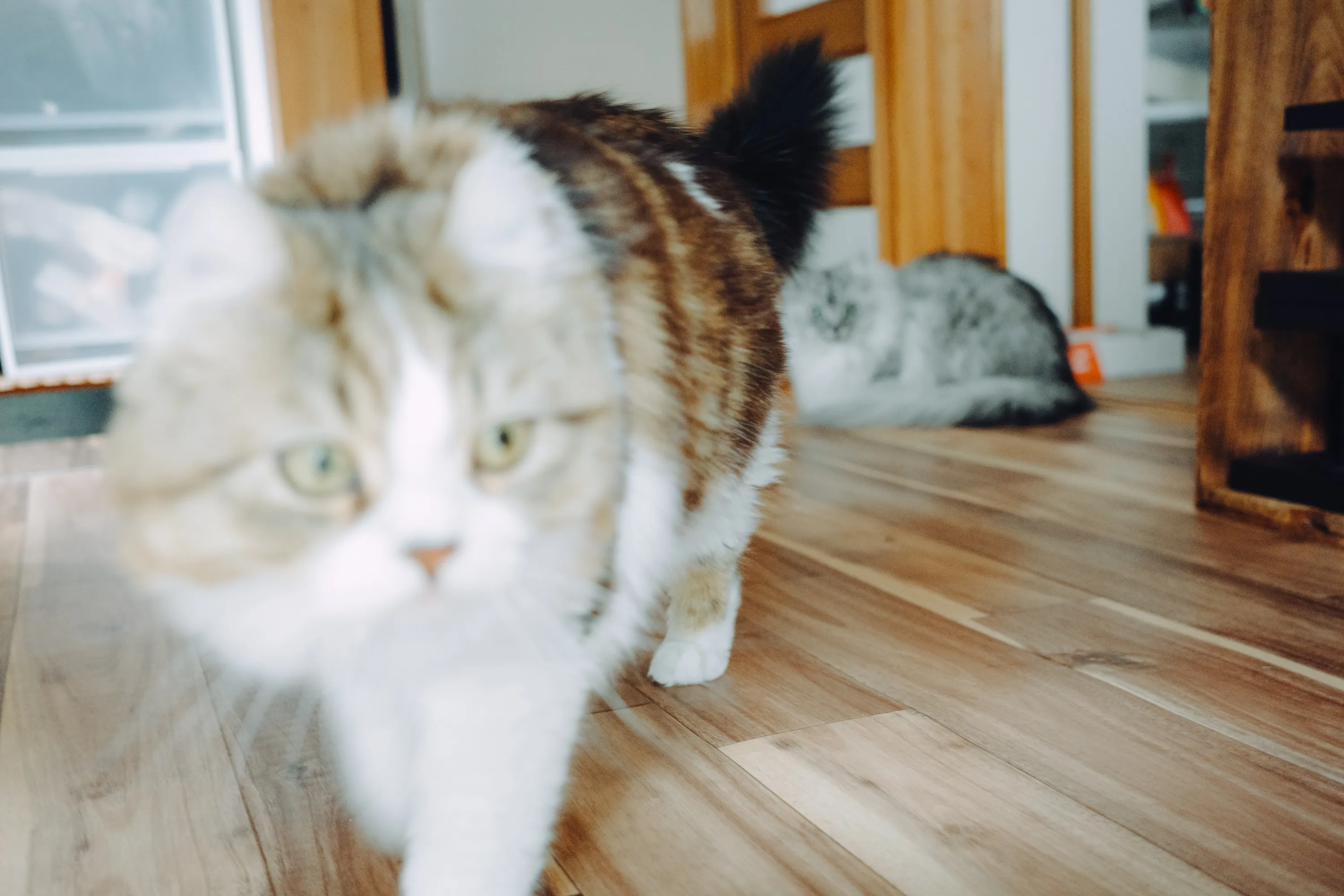 2023 — 04 — 13に撮影したうみとあおの写真