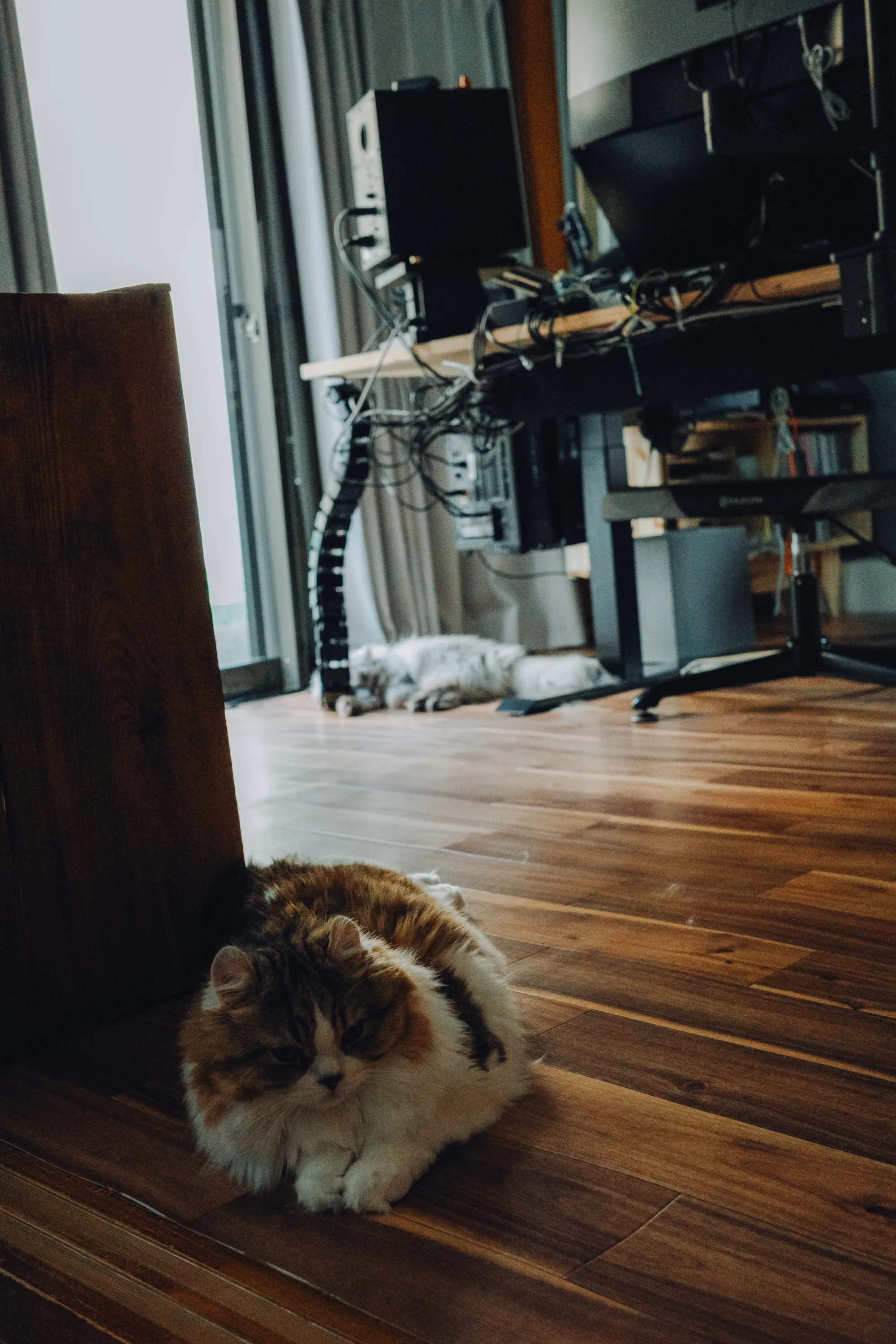 2023 — 04 — 20に撮影したうみとあおの写真