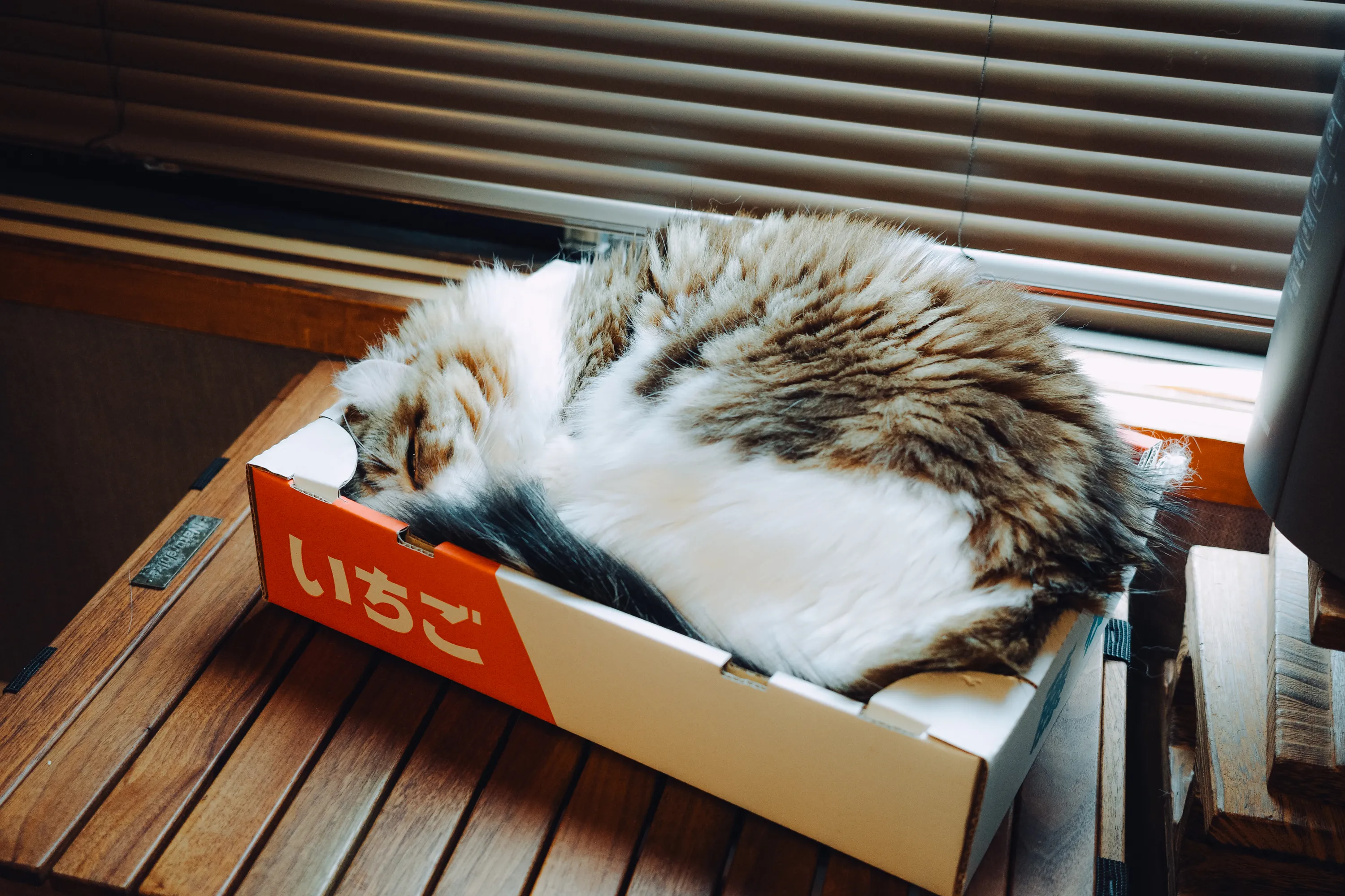 2023 — 04 — 26に撮影したうみとあおの写真