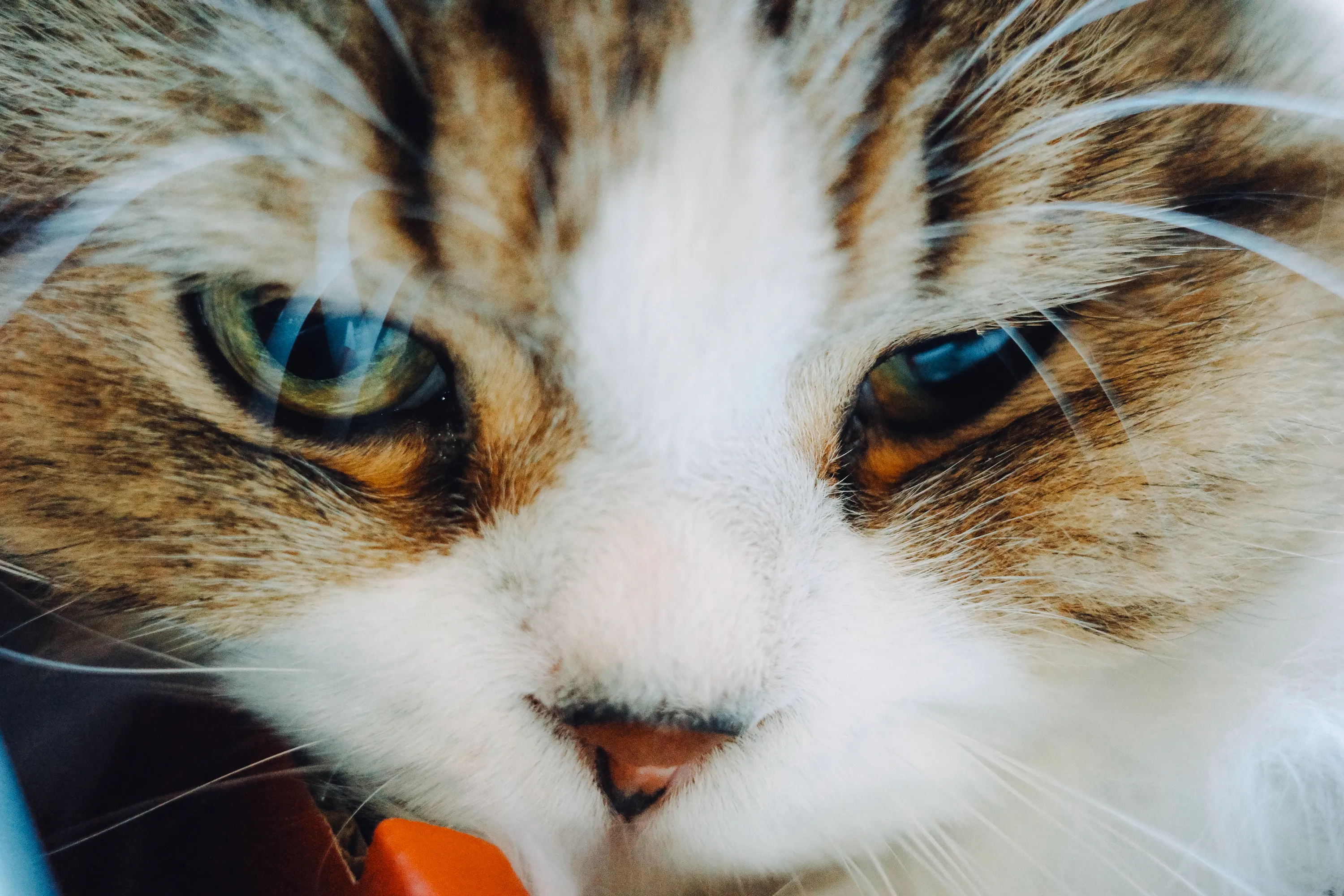 2023 — 07 — 06に撮影したうみとあおの写真