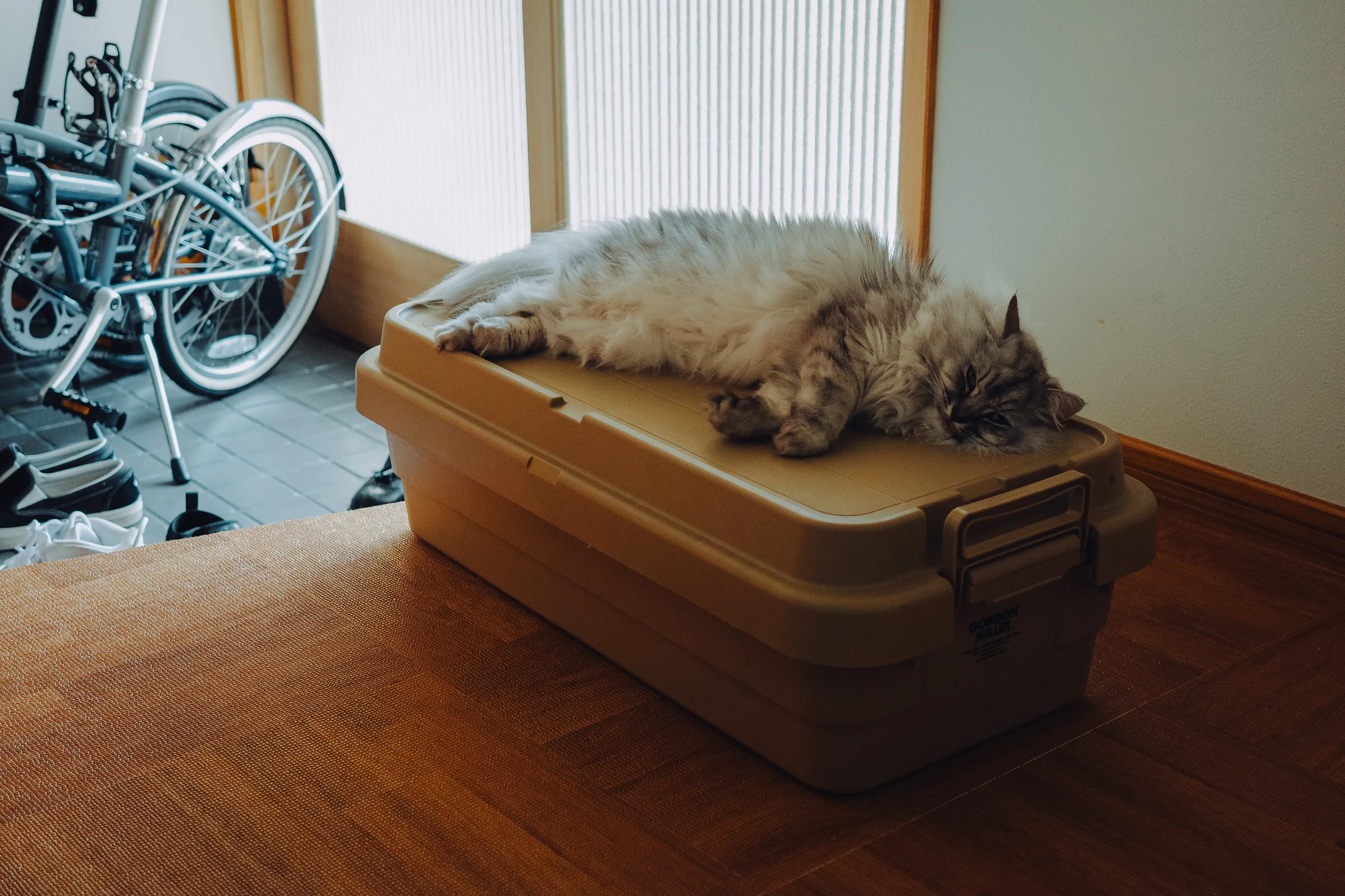 2023 — 07 — 12に撮影したうみとあおの写真