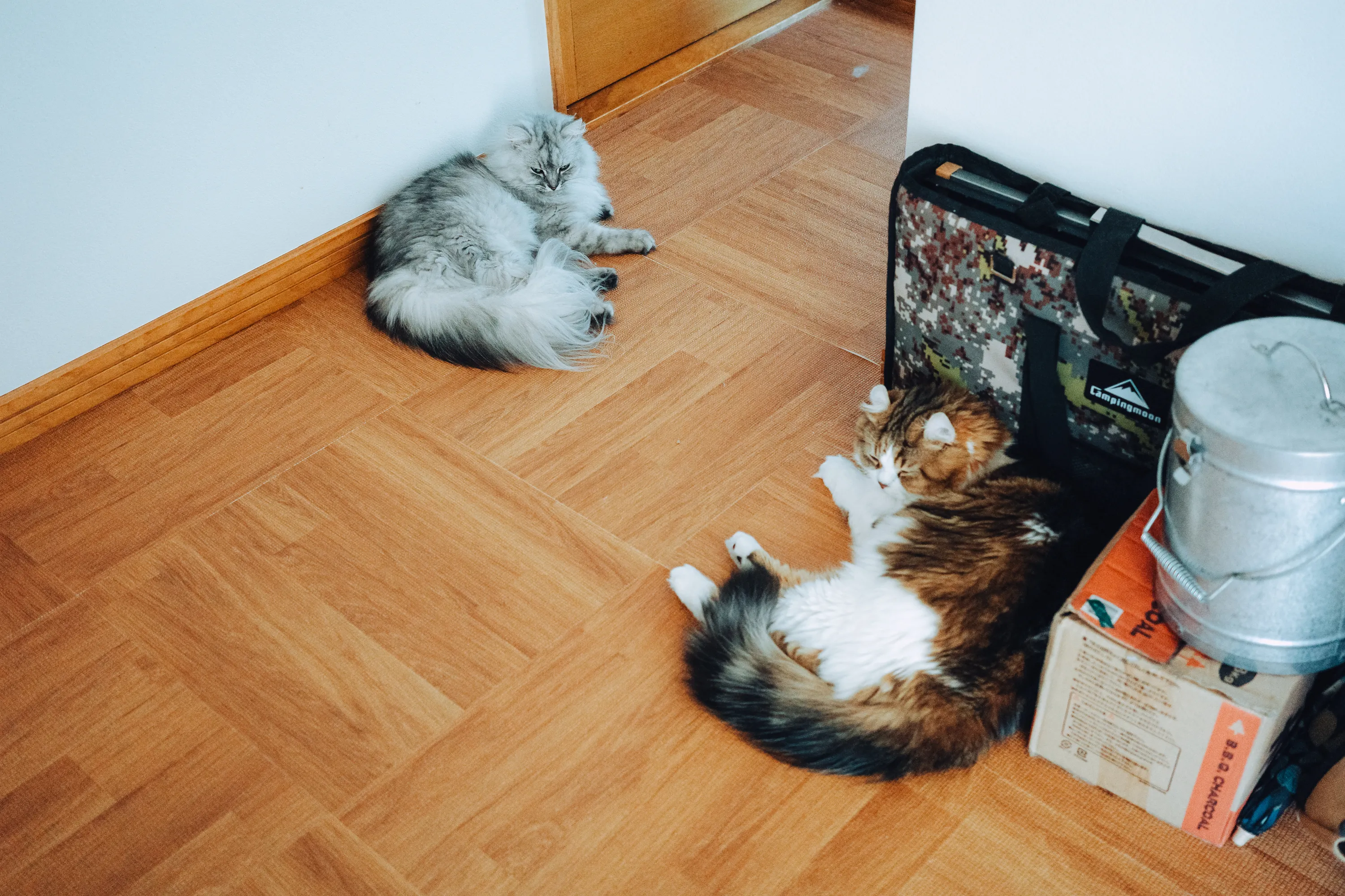 2023 — 08 — 10に撮影したうみとあおの写真