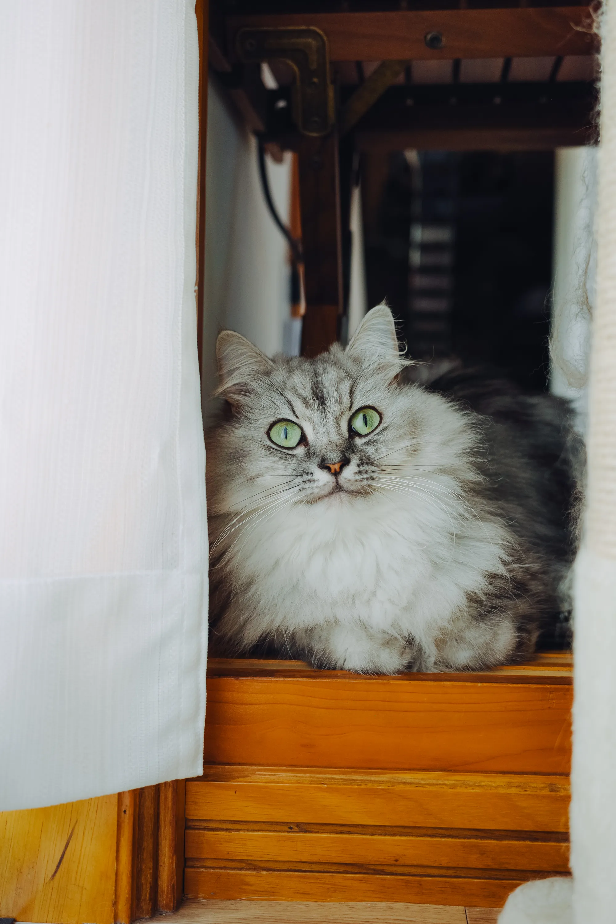 2023 — 08 — 19に撮影したうみの写真