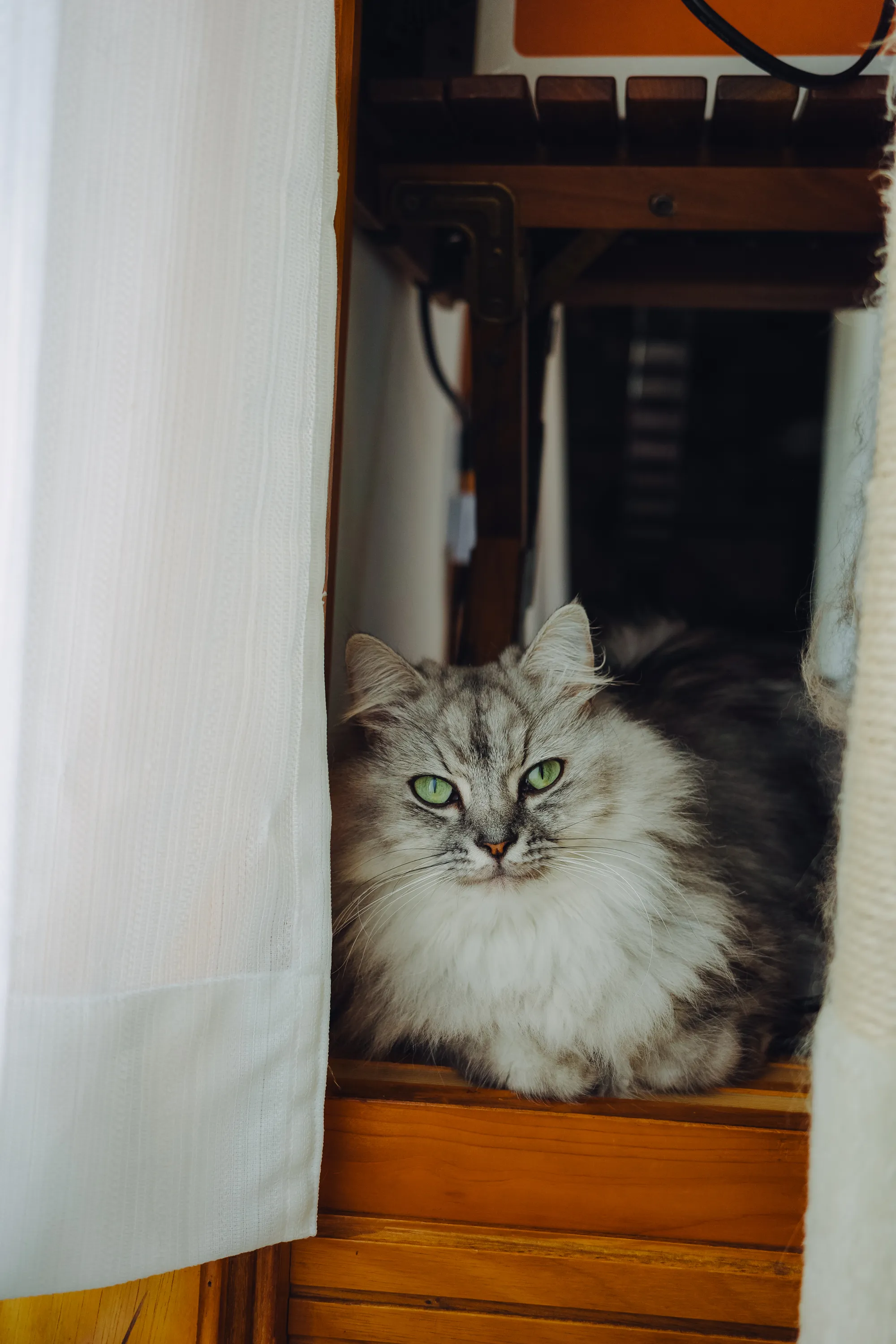 2023 — 08 — 19に撮影したうみの写真