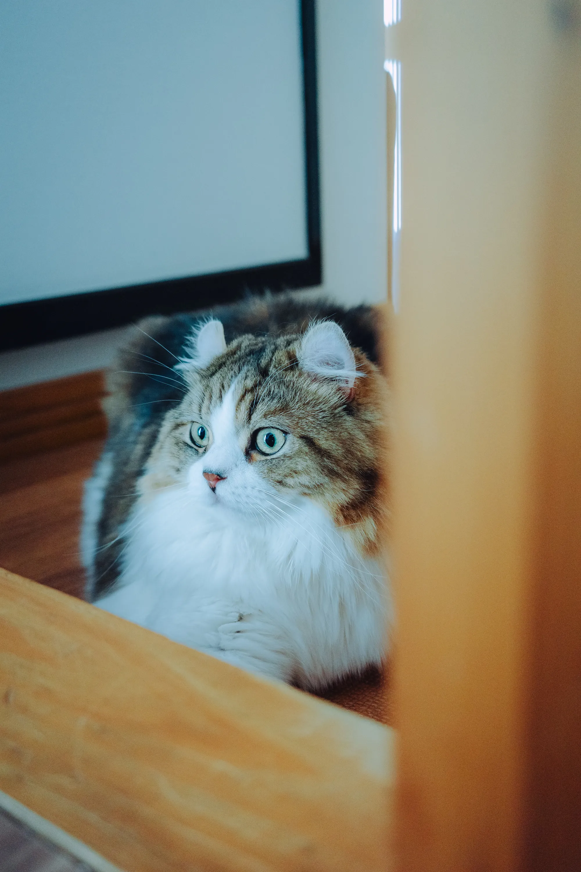 2023 — 08 — 19に撮影したうみとあおの写真