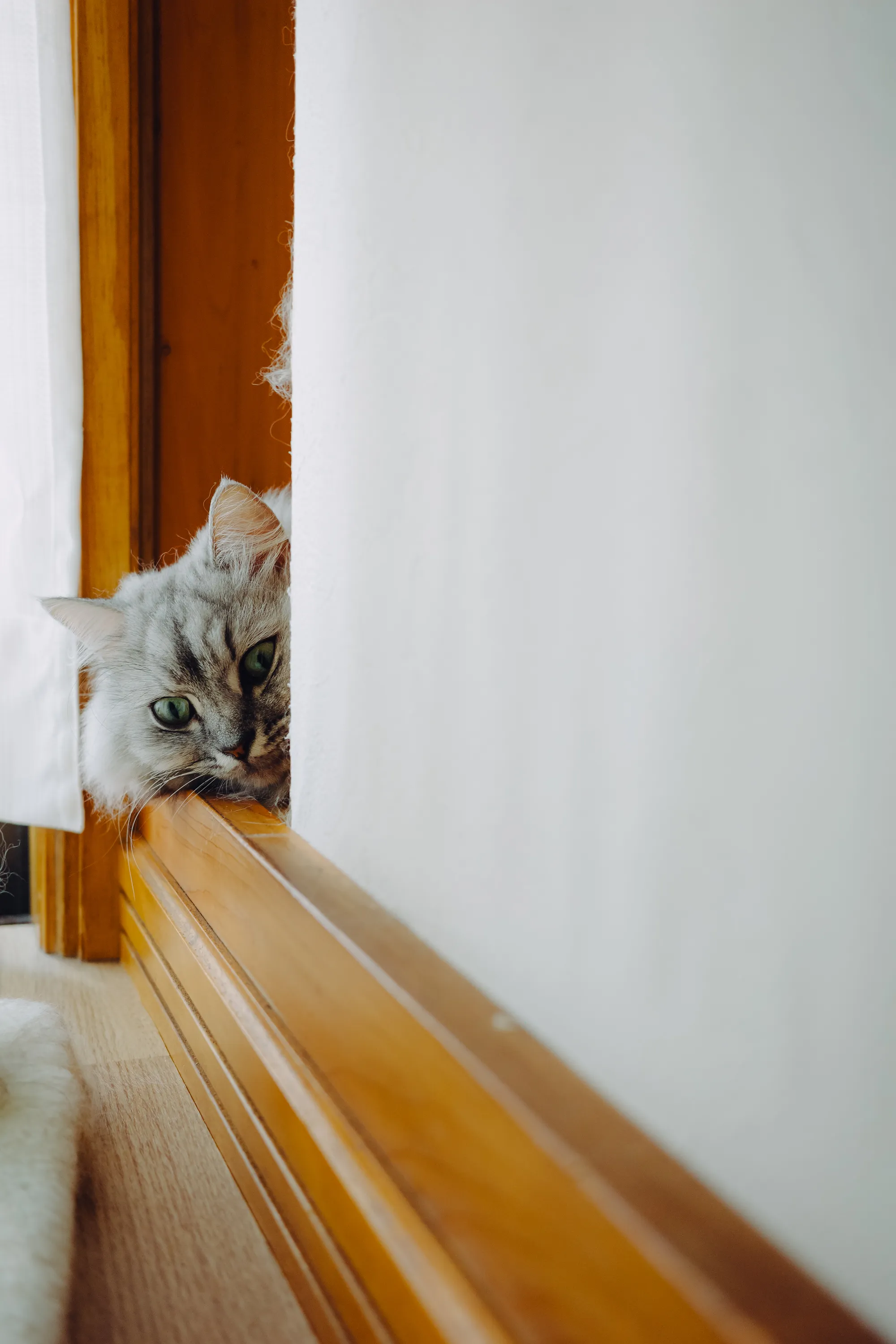 2023 — 08 — 19に撮影したうみの写真