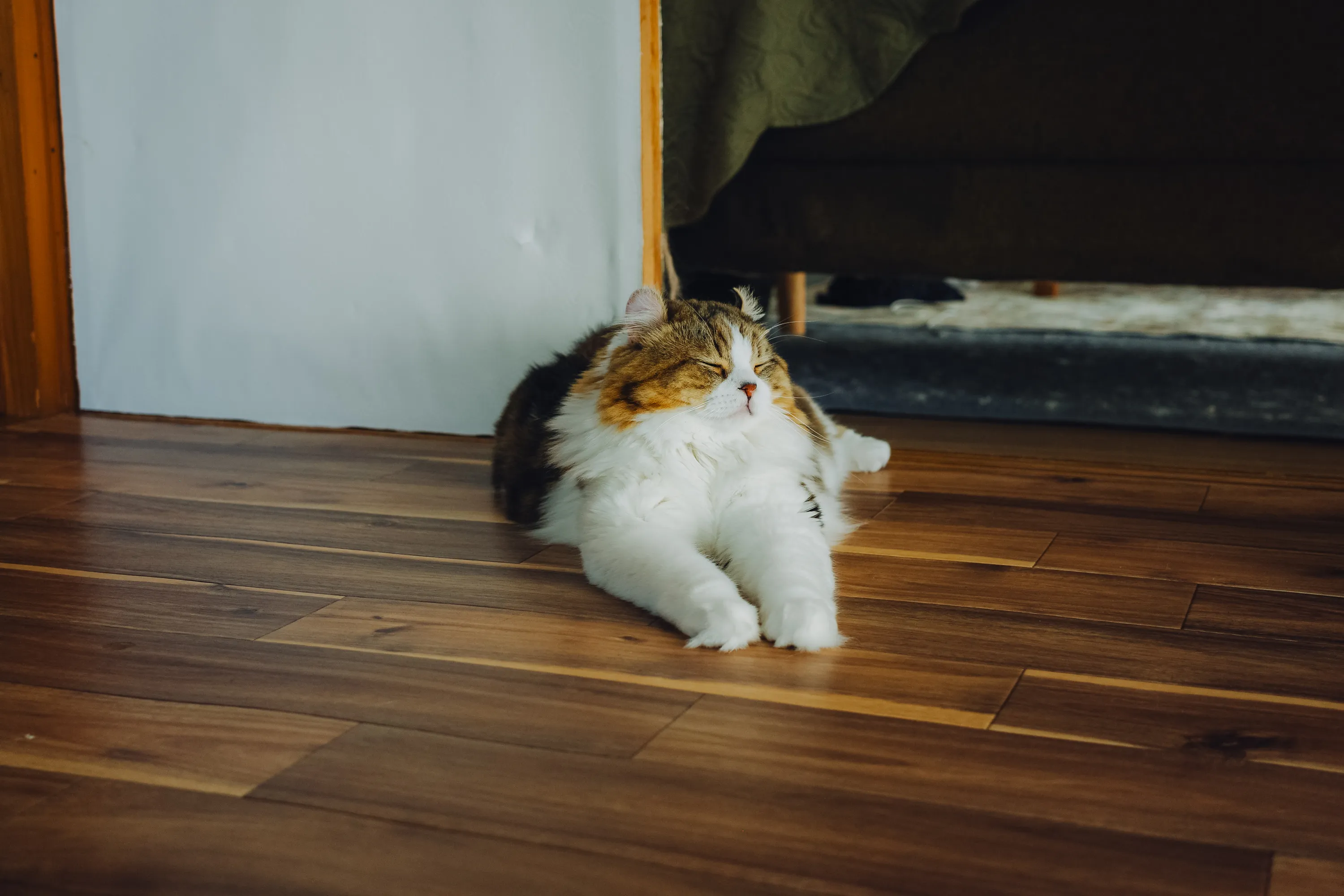 2023 — 08 — 26に撮影したあおの写真