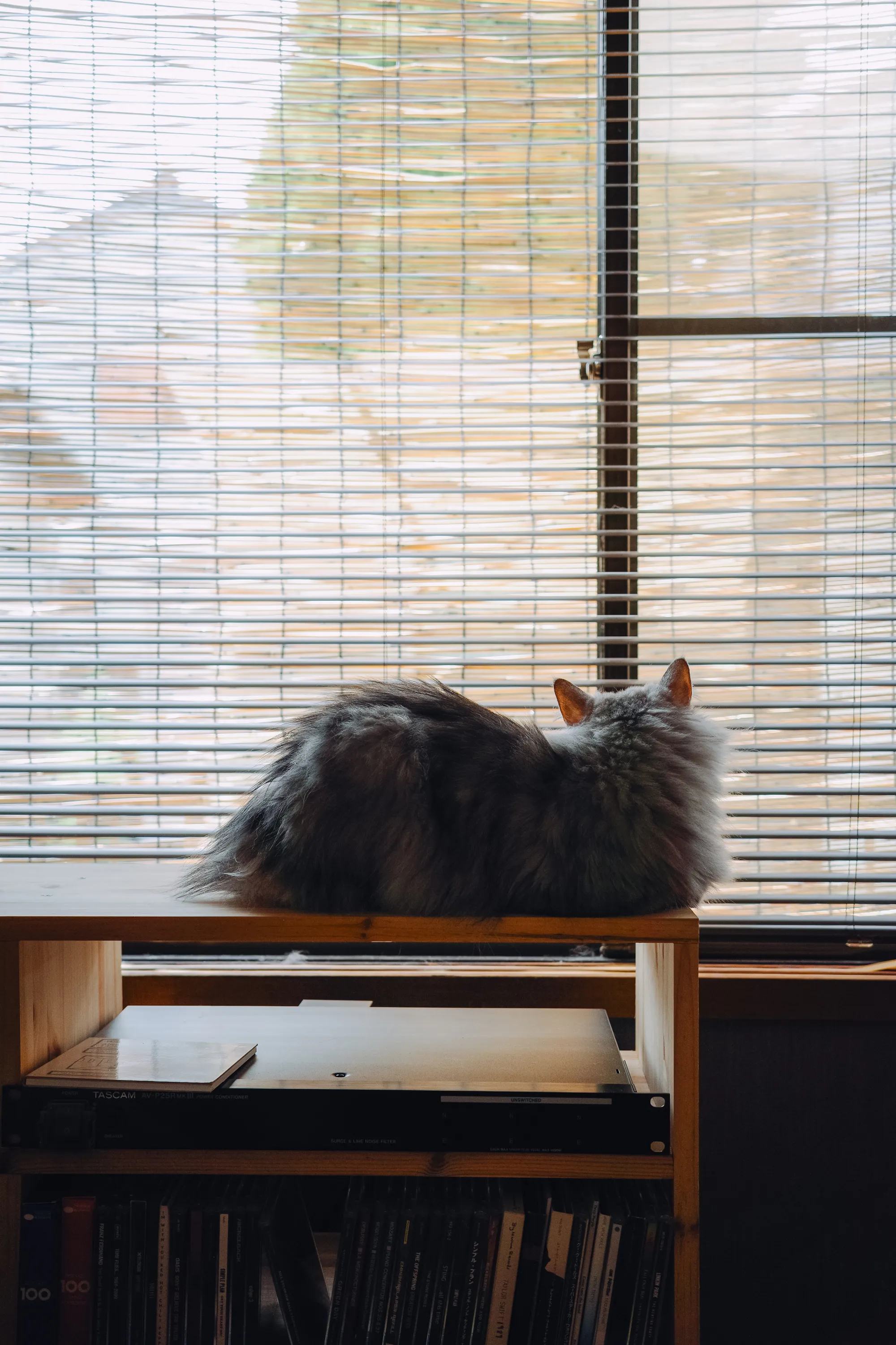 2023 — 08 — 30に撮影したうみの写真