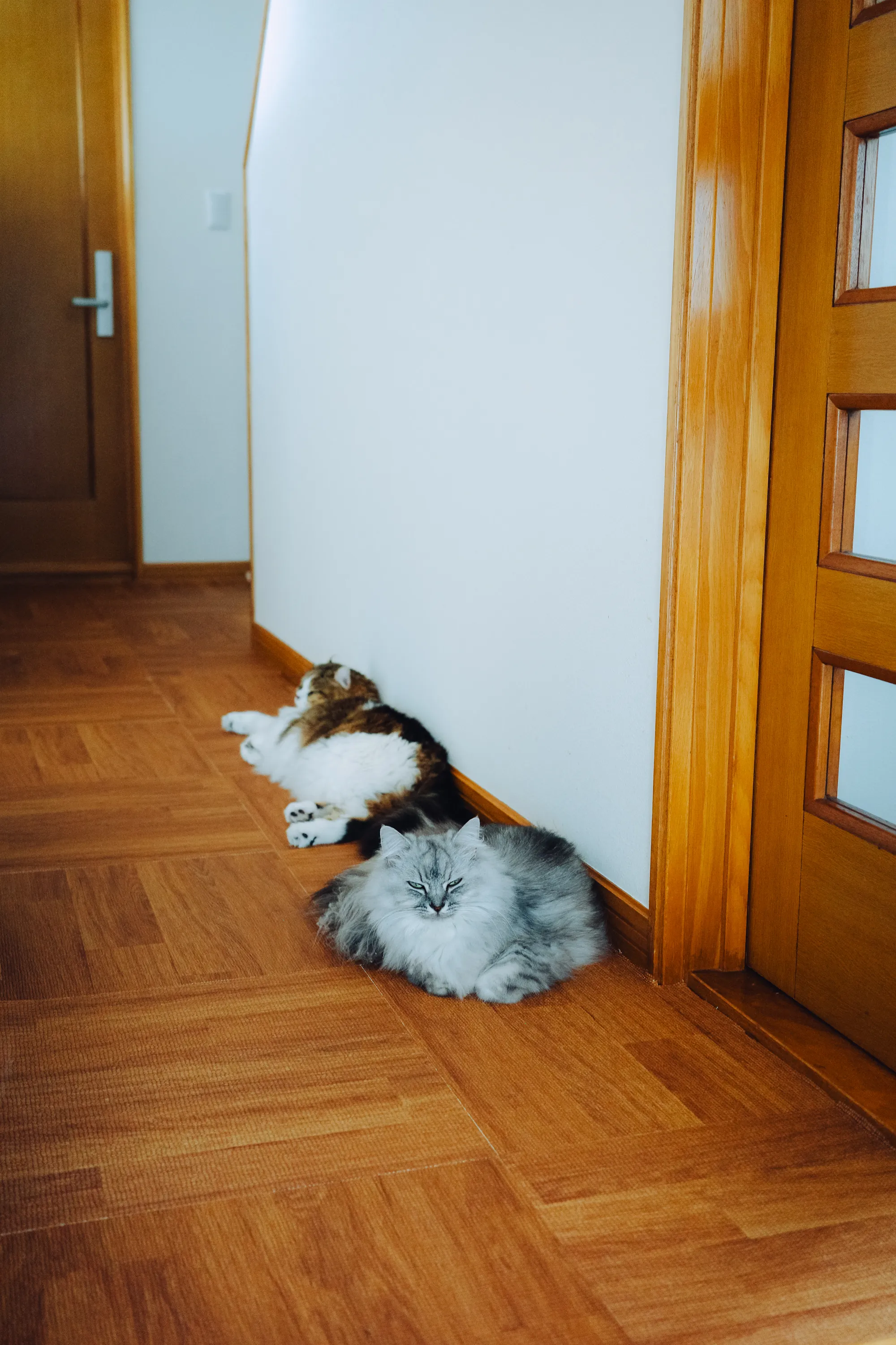 2023 — 08 — 30に撮影したうみとあおの写真