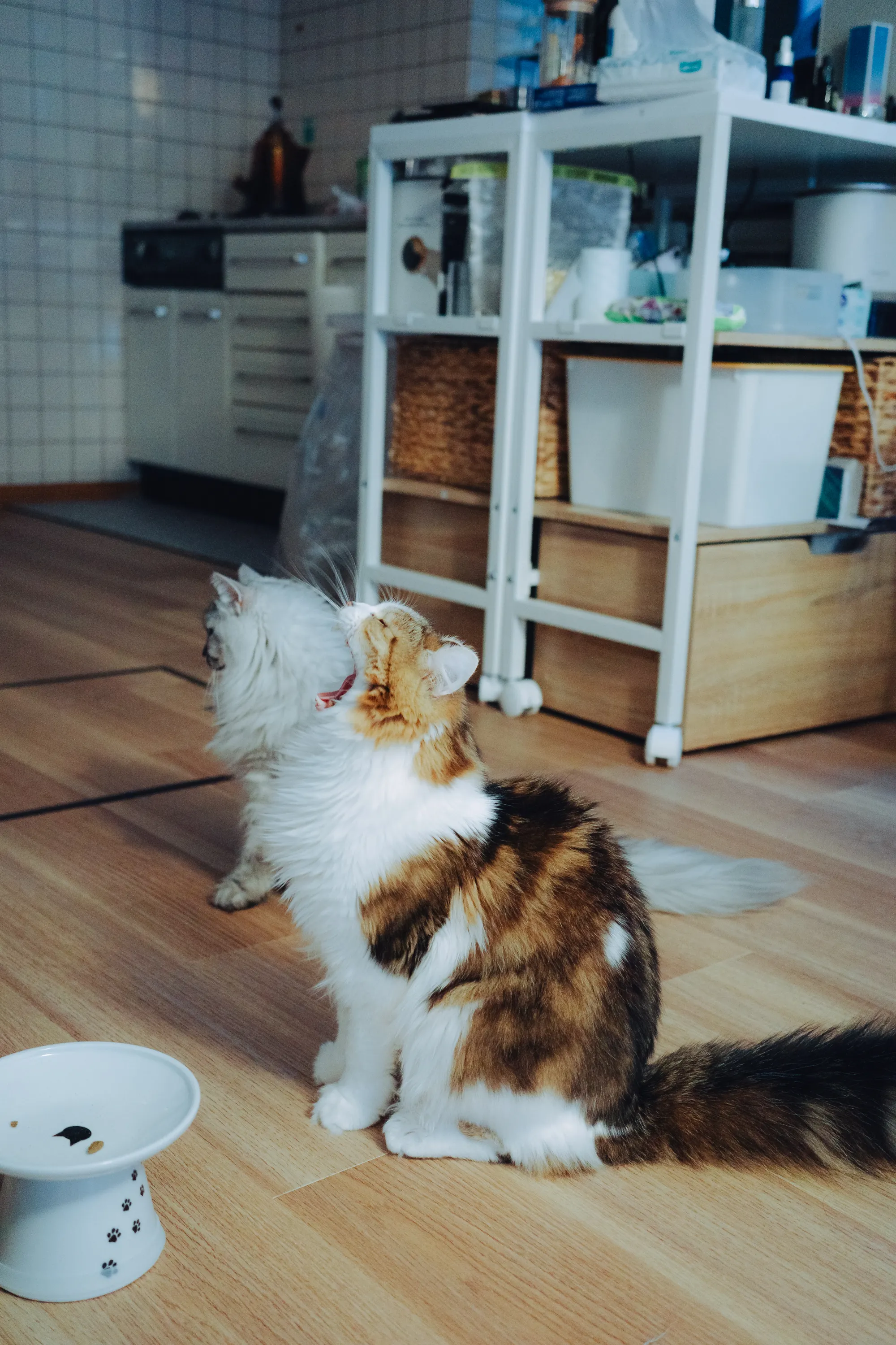 2022 — 09 — 19に撮影したうみとあおの写真