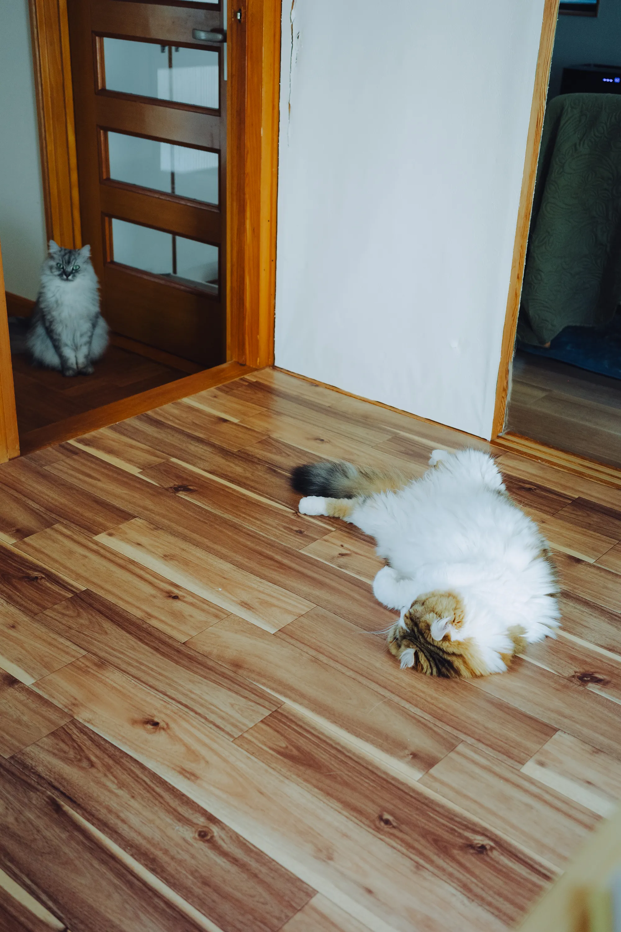 2023 — 09 — 08に撮影したうみとあおの写真