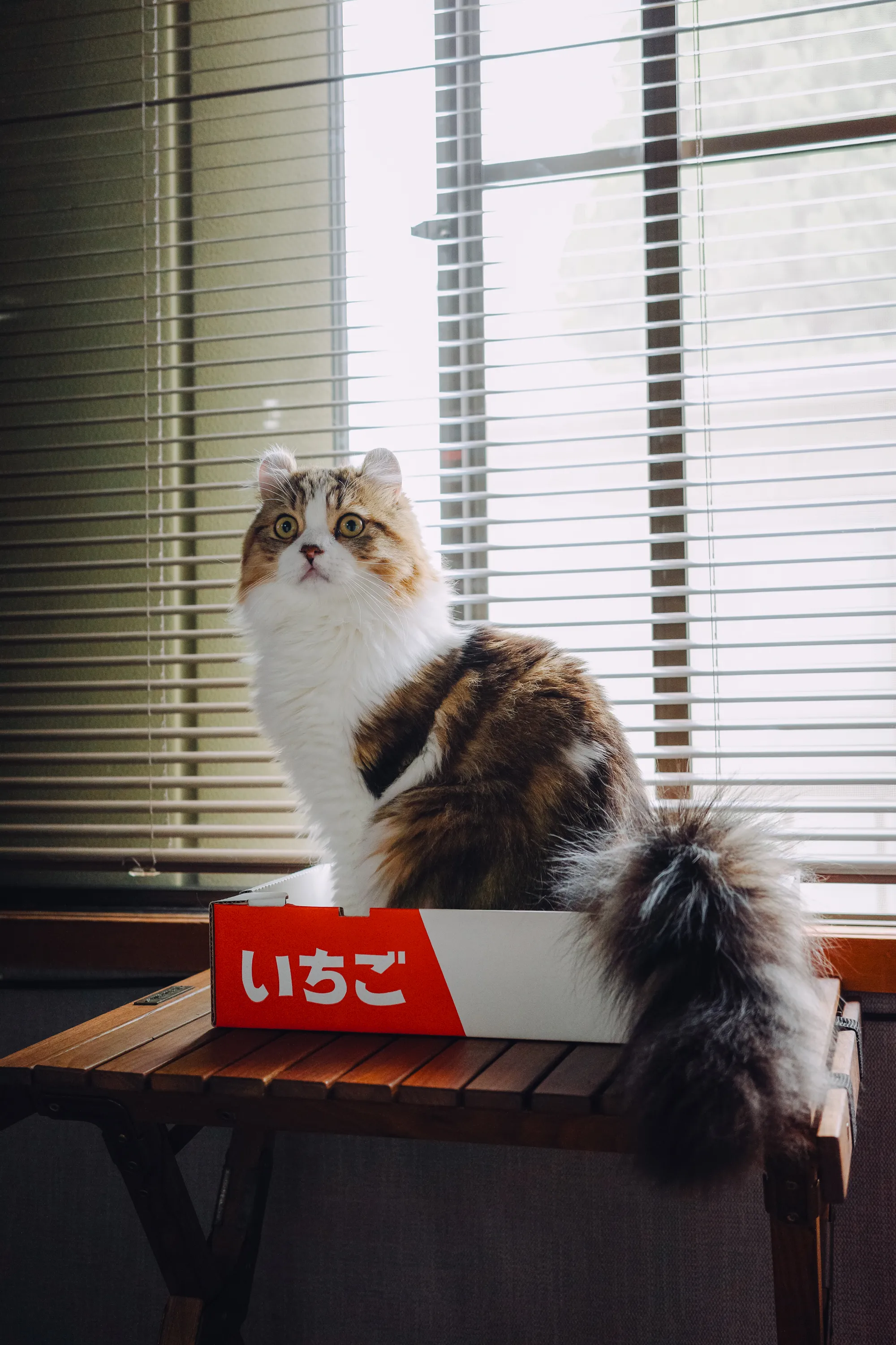 2022 — 09 — 23に撮影したあおの写真