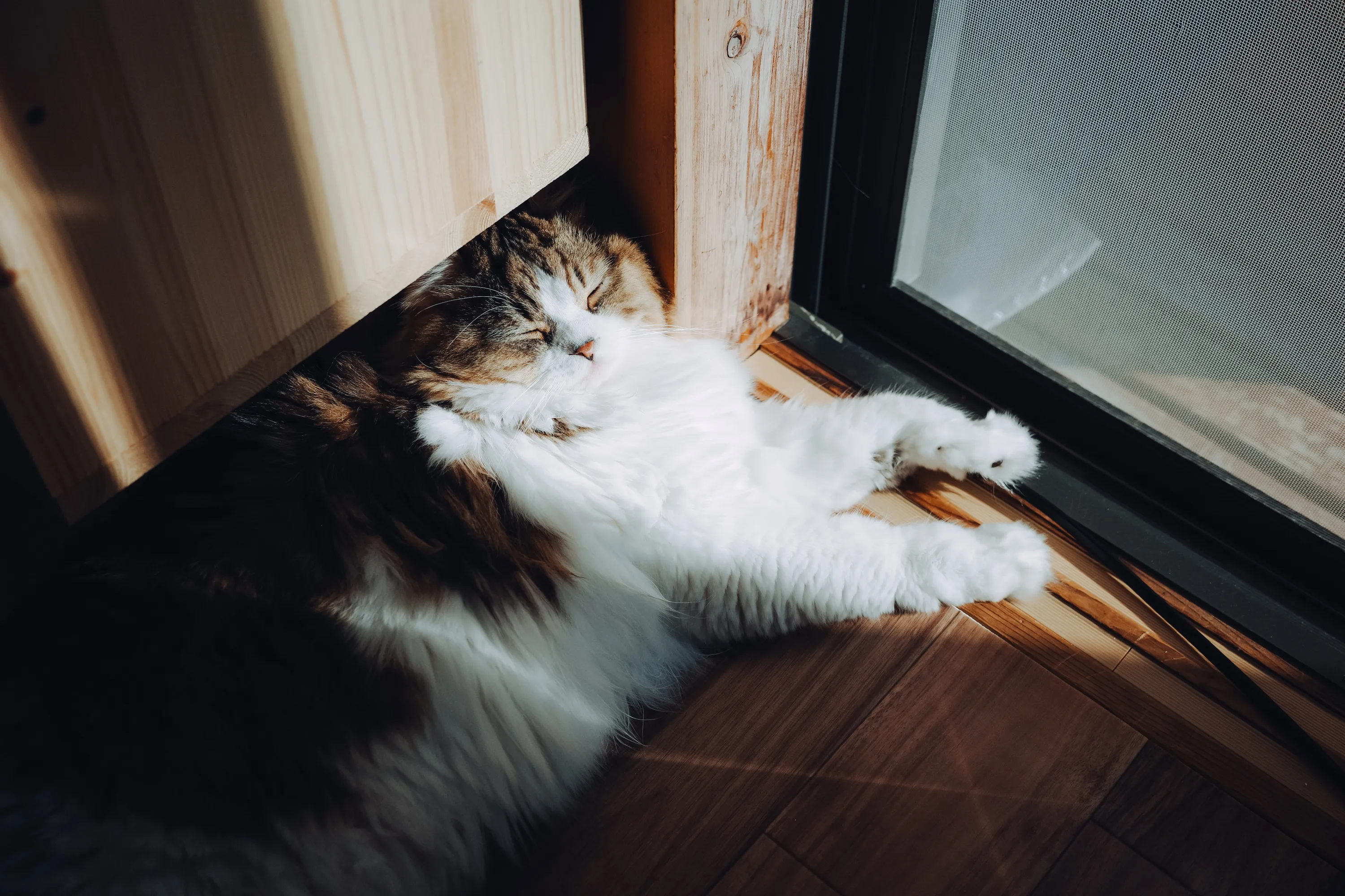 2023 — 10 — 28に撮影したうみとあおの写真