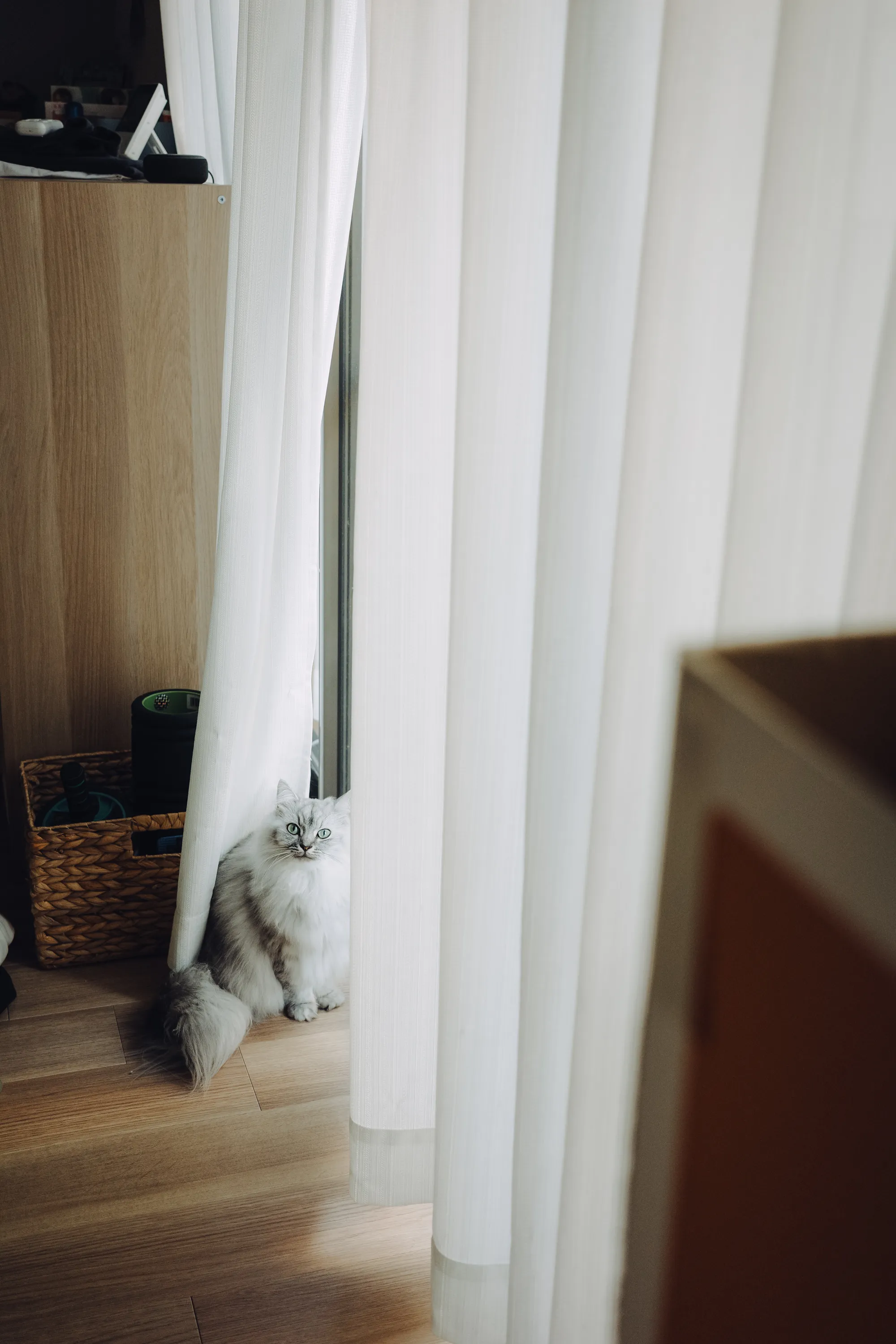 2023 — 12 — 08に撮影したうみの写真