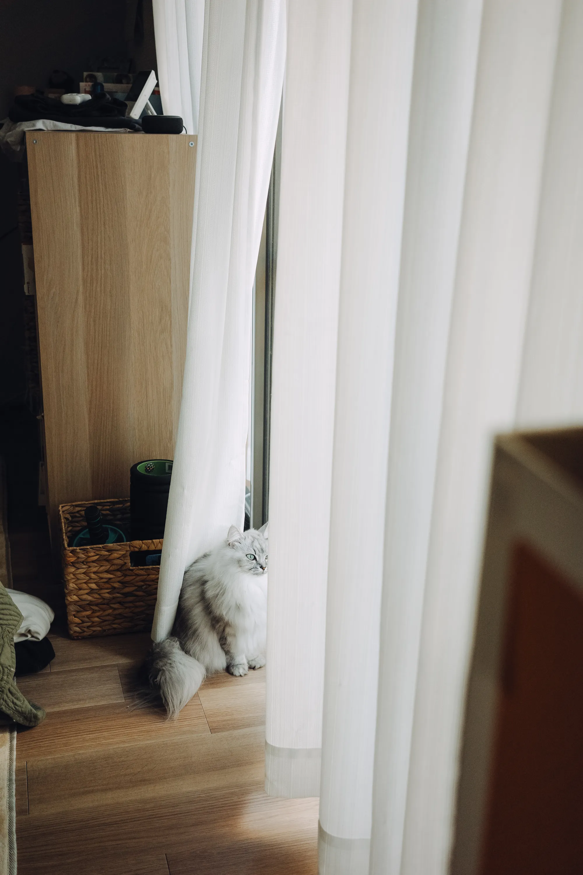 2023 — 12 — 08に撮影したうみの写真