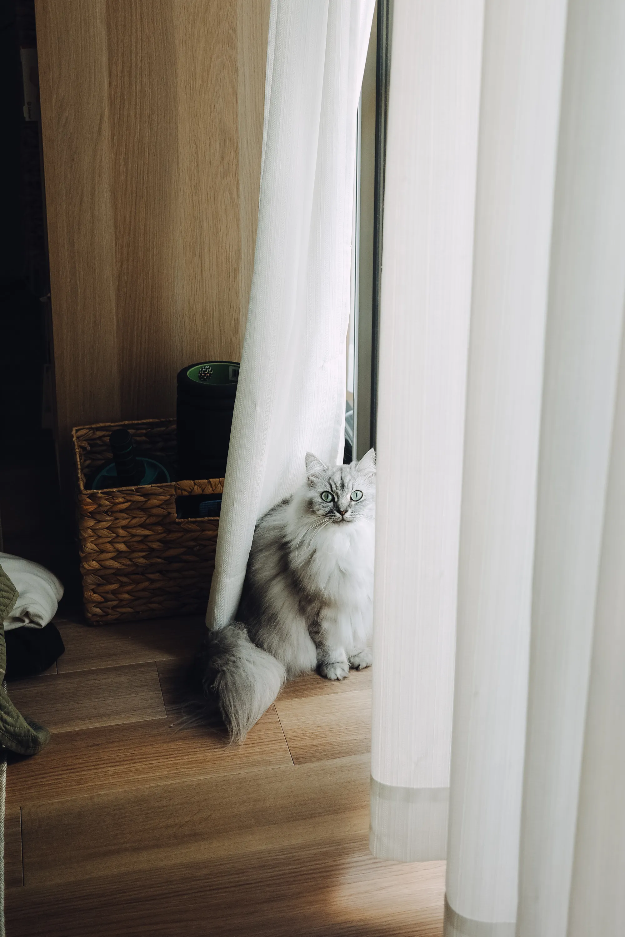 2023 — 12 — 08に撮影したうみの写真