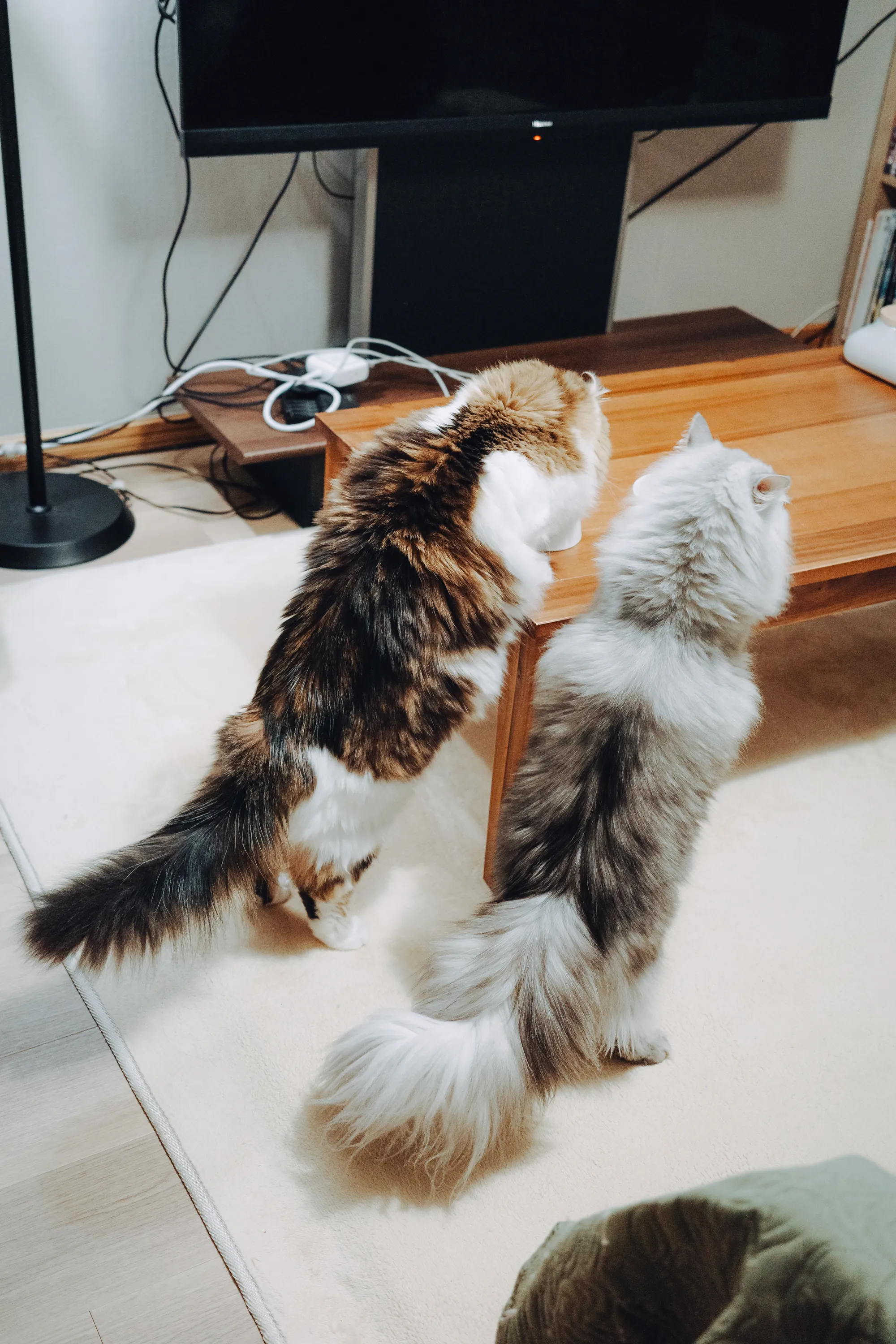 2023 — 12 — 09に撮影したうみとあおの写真