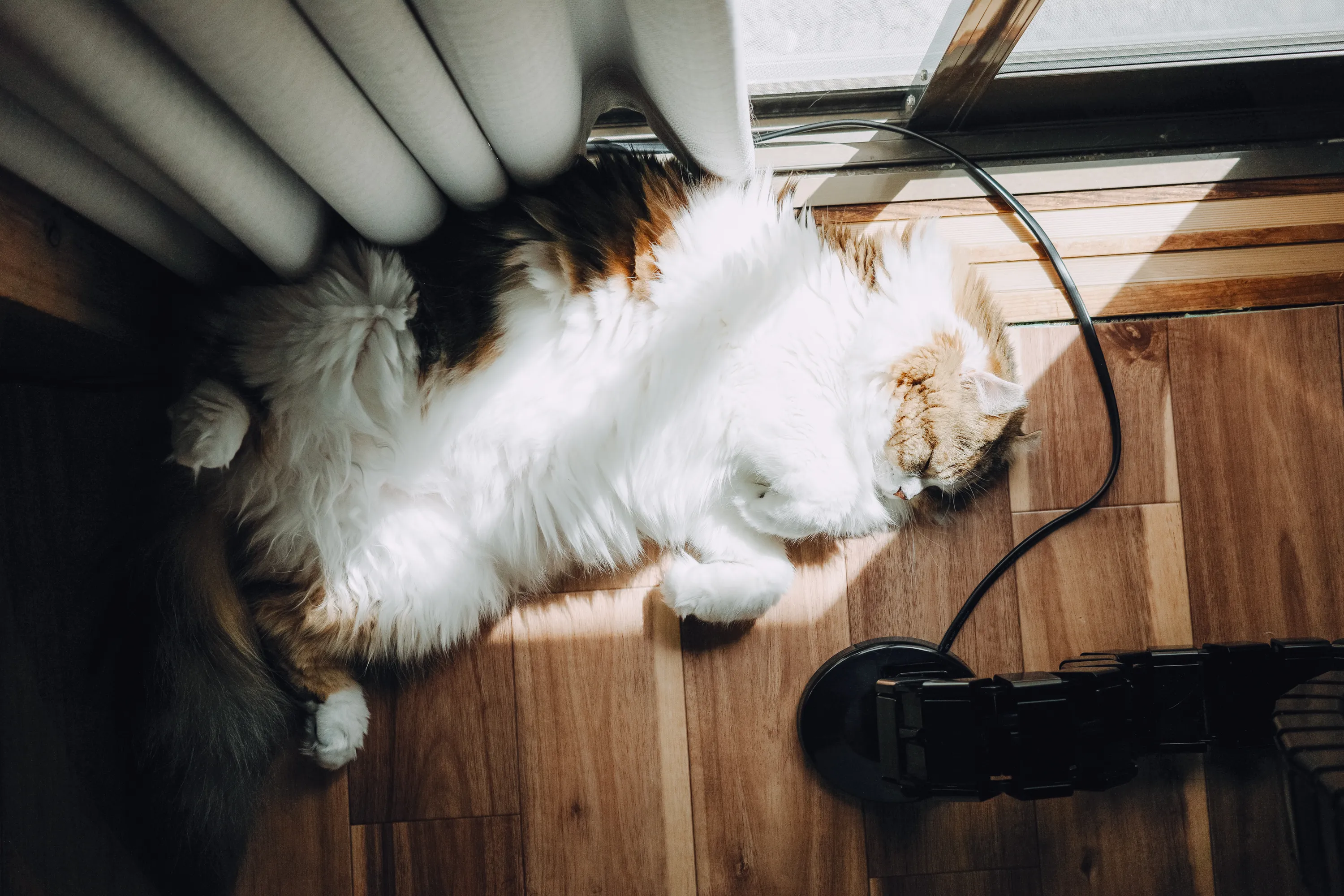 2024 — 04 — 07に撮影したうみとあおの写真