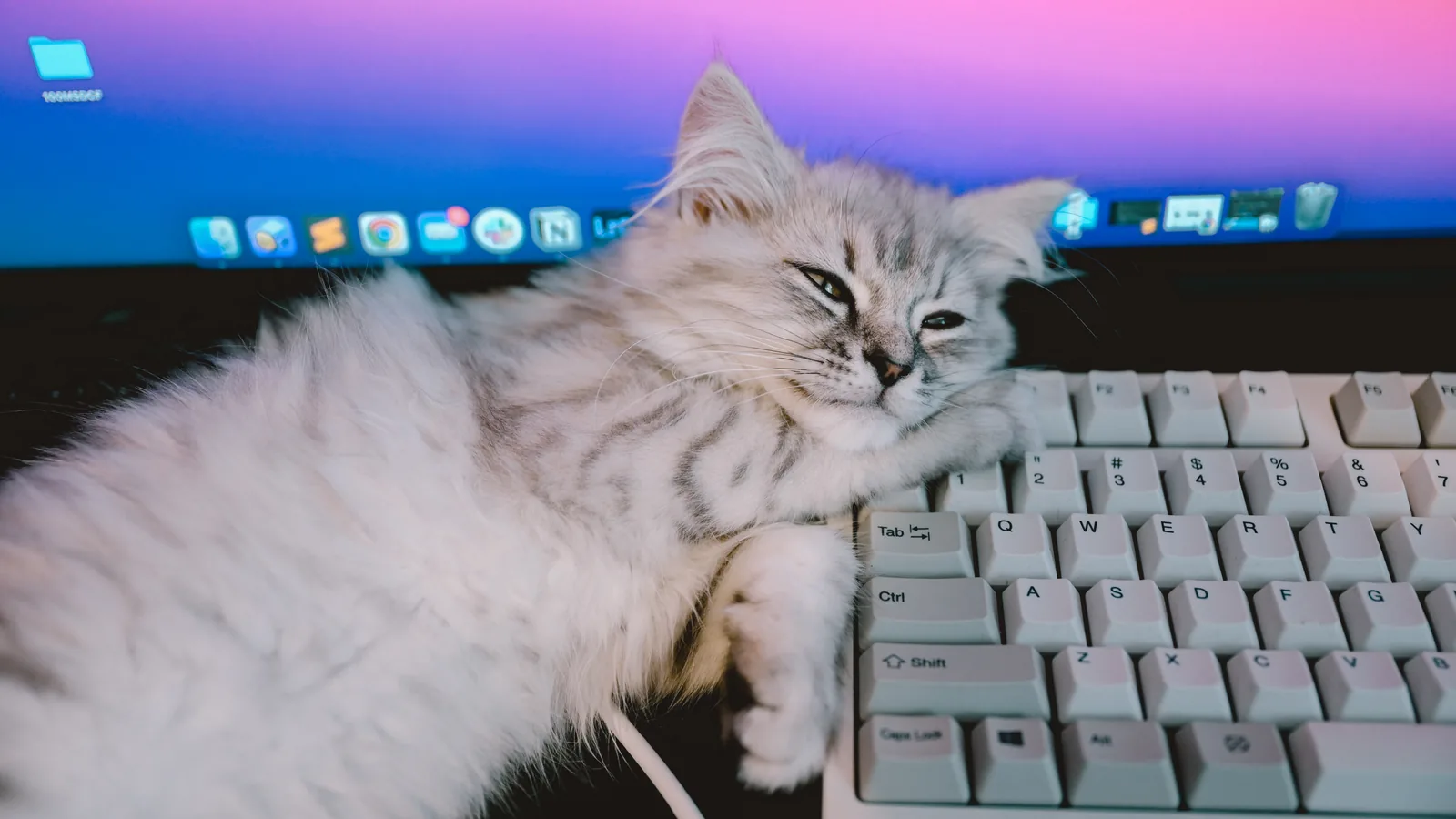 2021 — 05 — 07に撮影したうみの写真