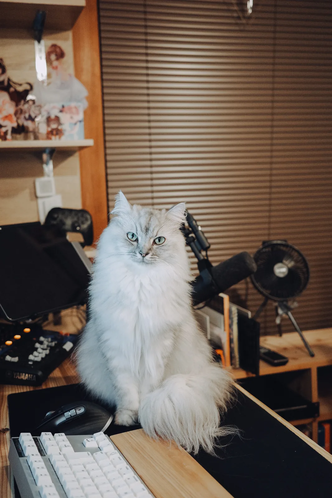2024 — 01 — 30に撮影したうみの写真